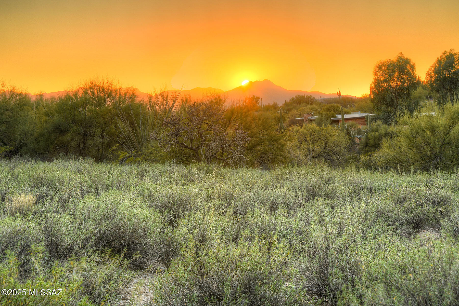 La Paloma Estates (53-68) - Land