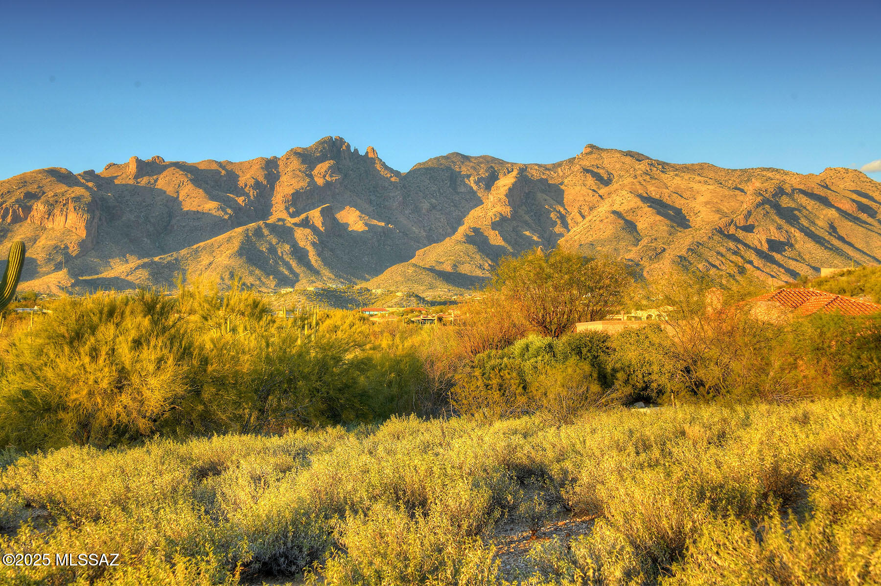 La Paloma Estates (53-68) - Land