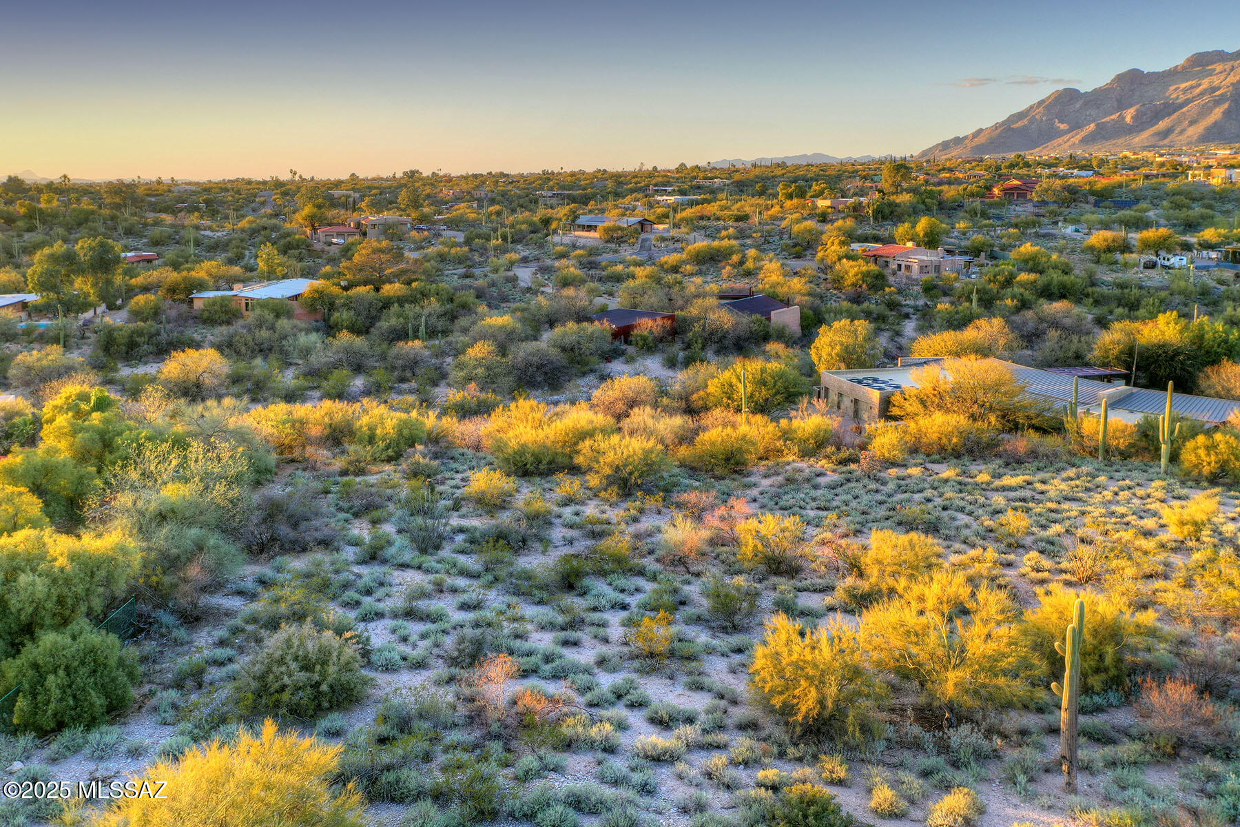La Paloma Estates (53-68) - Land