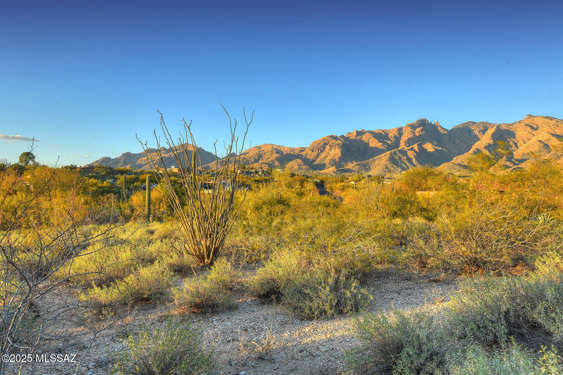 La Paloma Estates (53-68) - Land