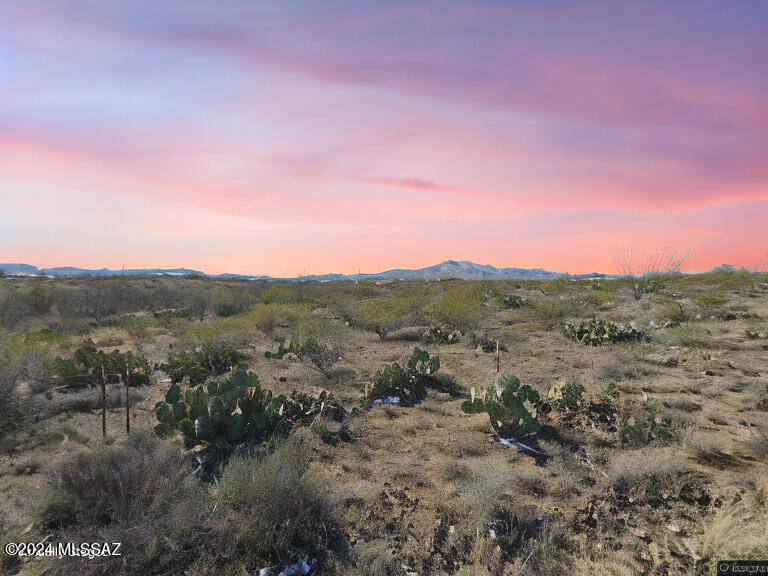 Rincon View Estates (1-87) - Land