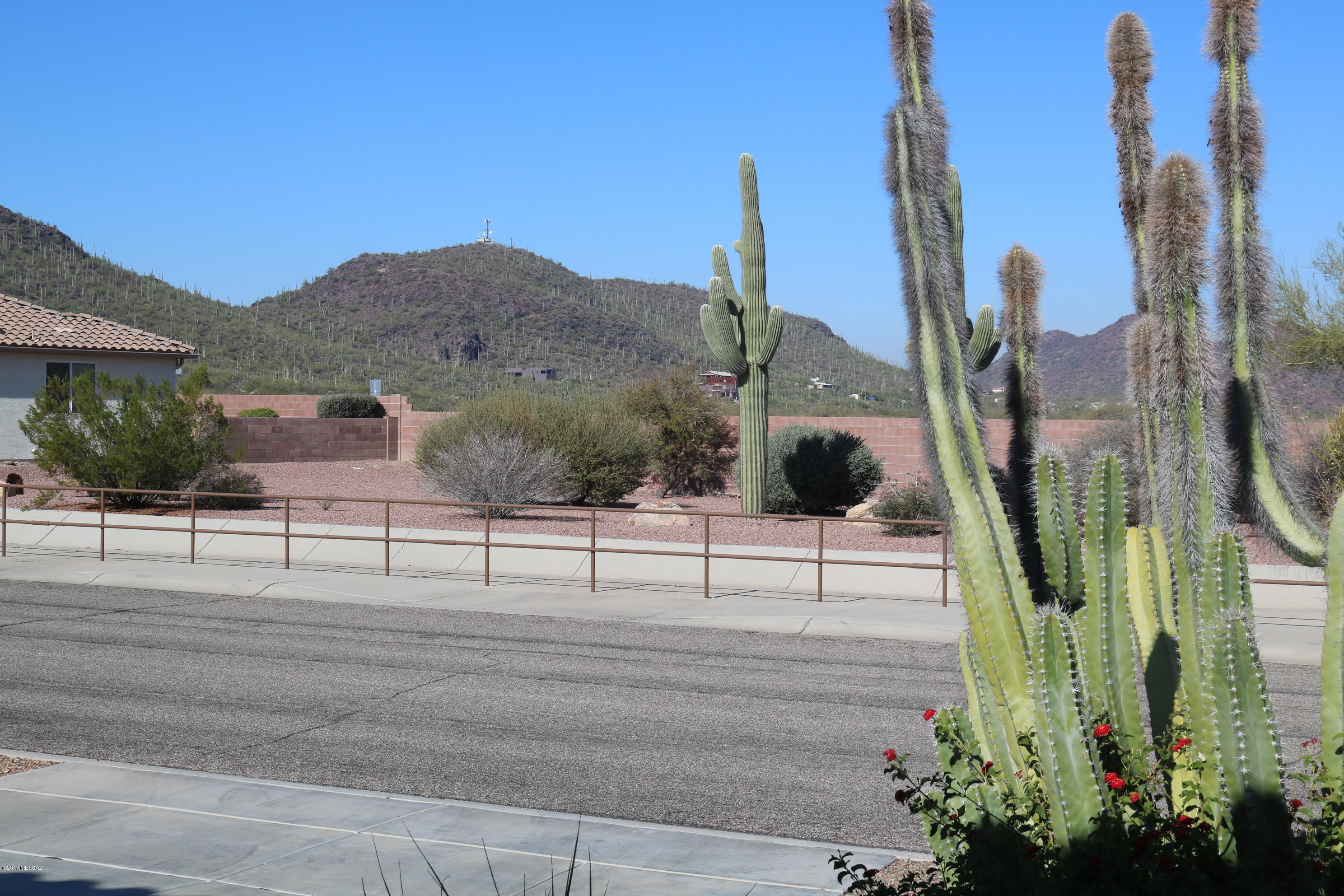 Continental Ranch Sunflower - Residential