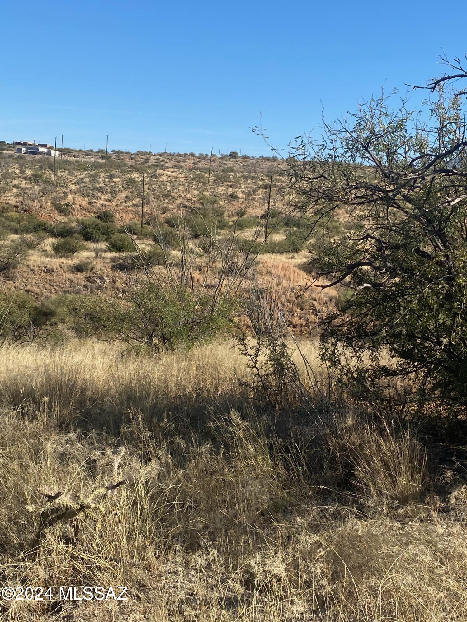Rio Rico Ranchettes - Land