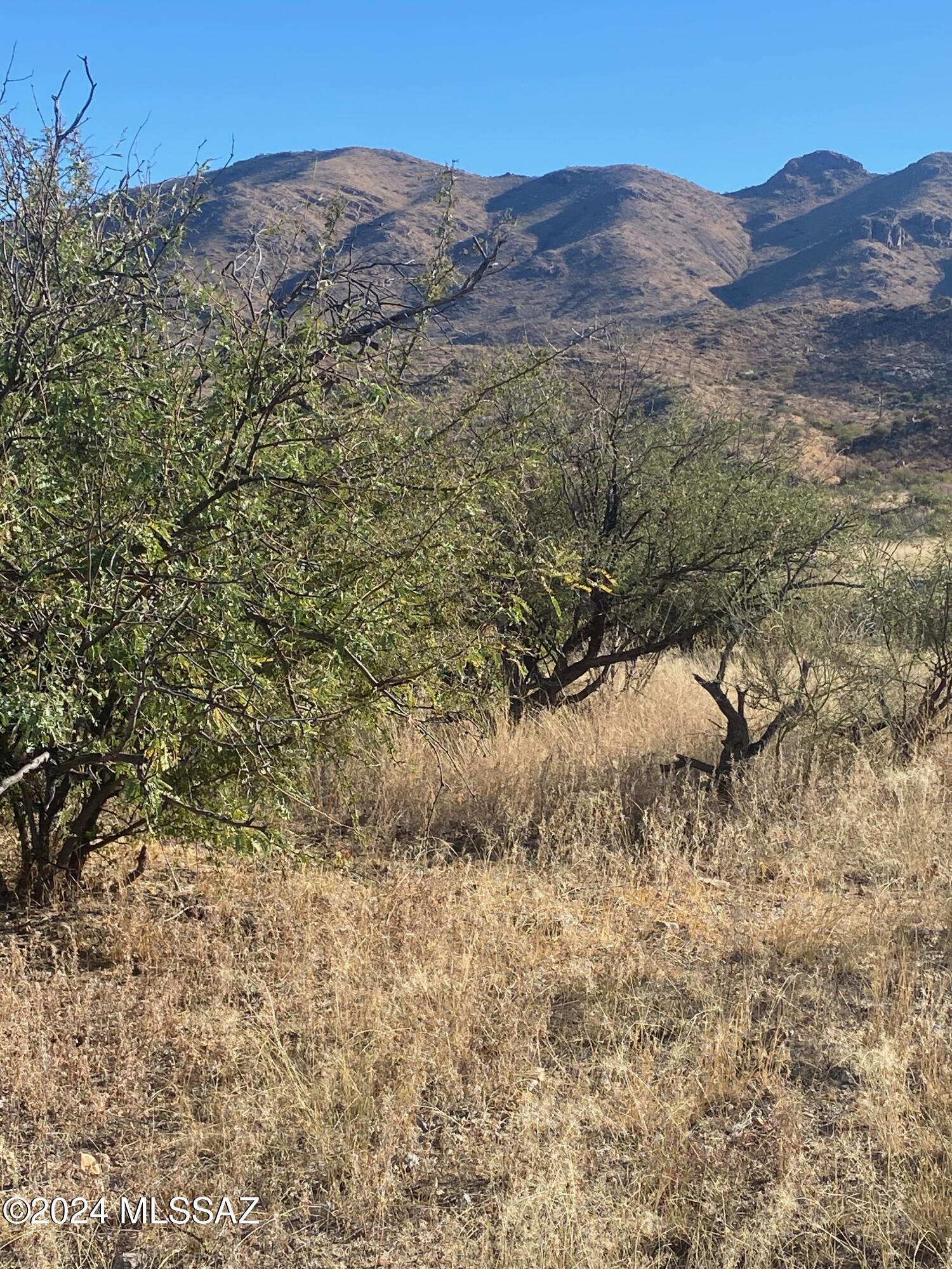 Rio Rico Ranchettes - Land