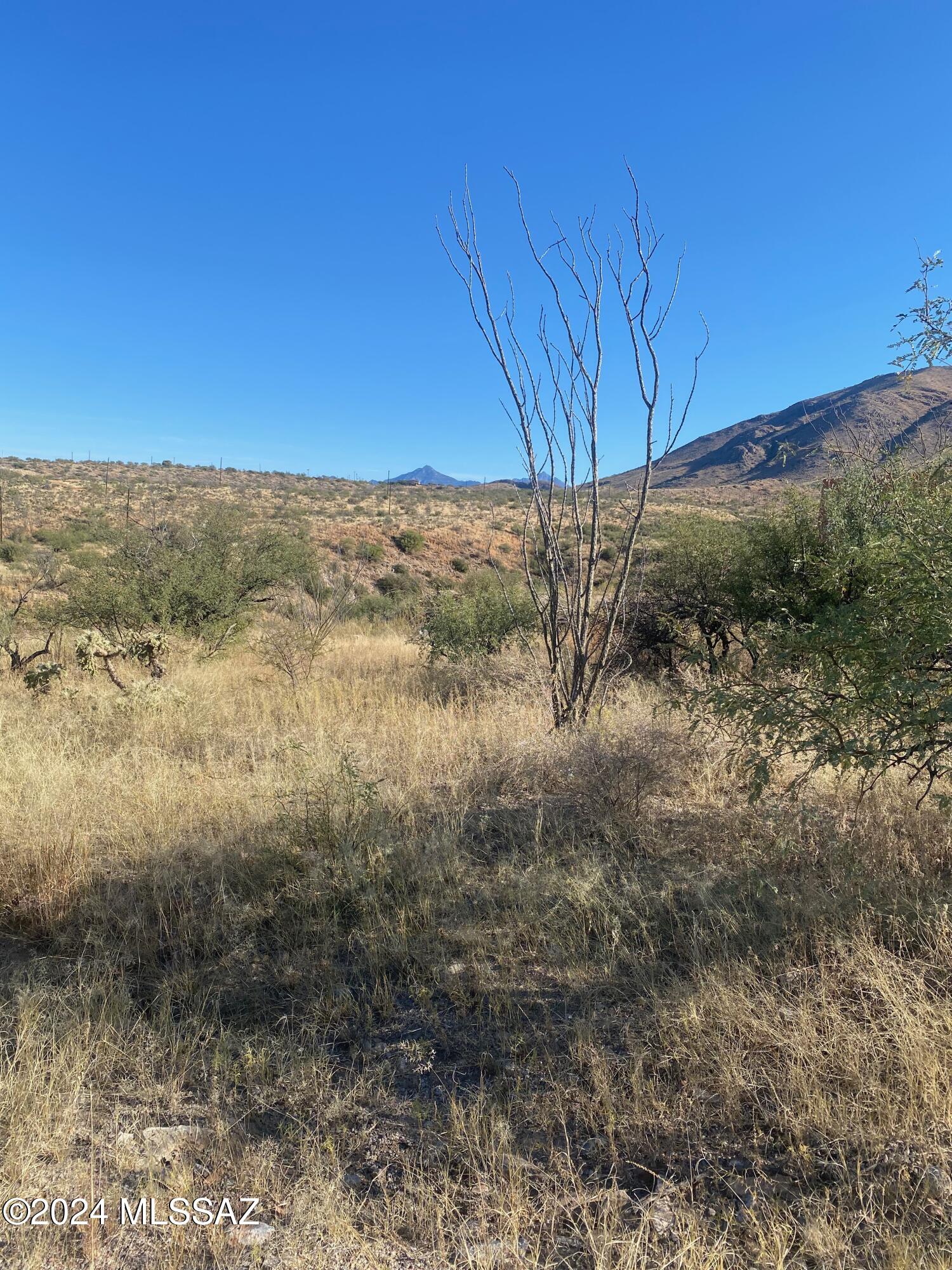 Rio Rico Ranchettes - Land