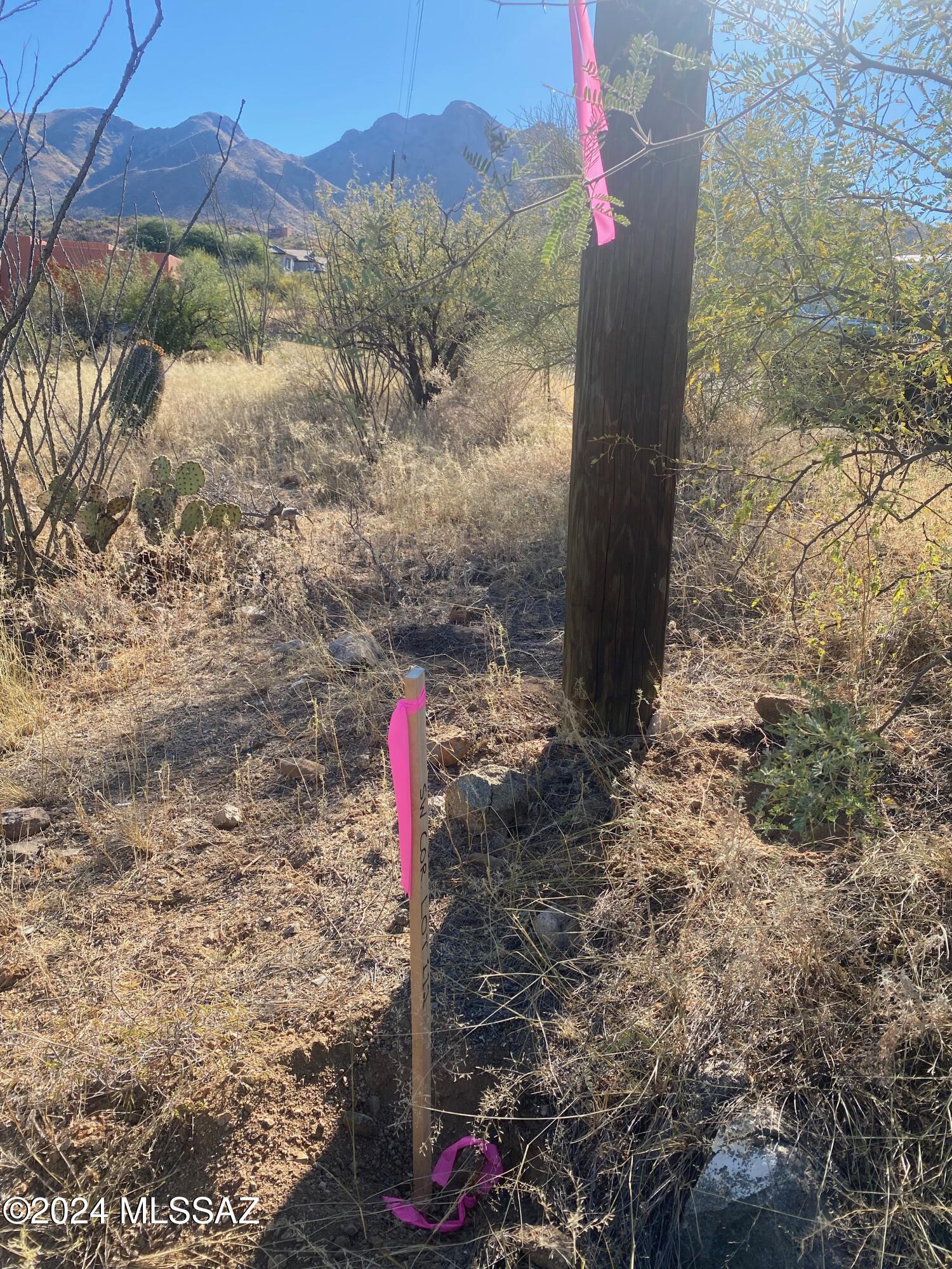 Rio Rico Ranchettes - Land