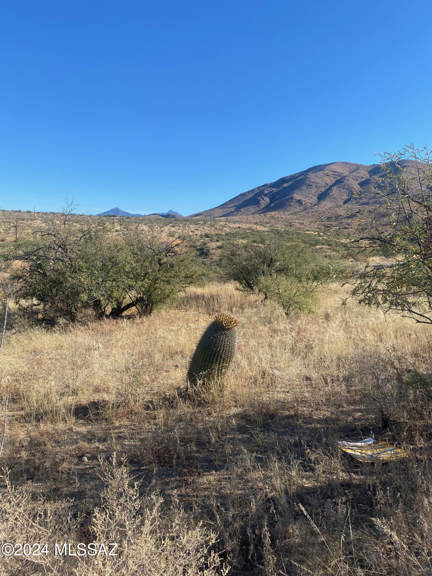 Lot faces north directly towards Mt, Wrightson with awesome views of Tumacacori and Atacossa Mtns. to the west, San Cayetano Mtns. to the east. The lot has flat buildable pad to construct your forever dream home.