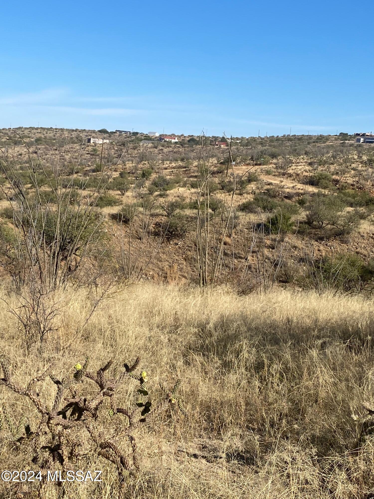 Rio Rico Ranchettes - Land