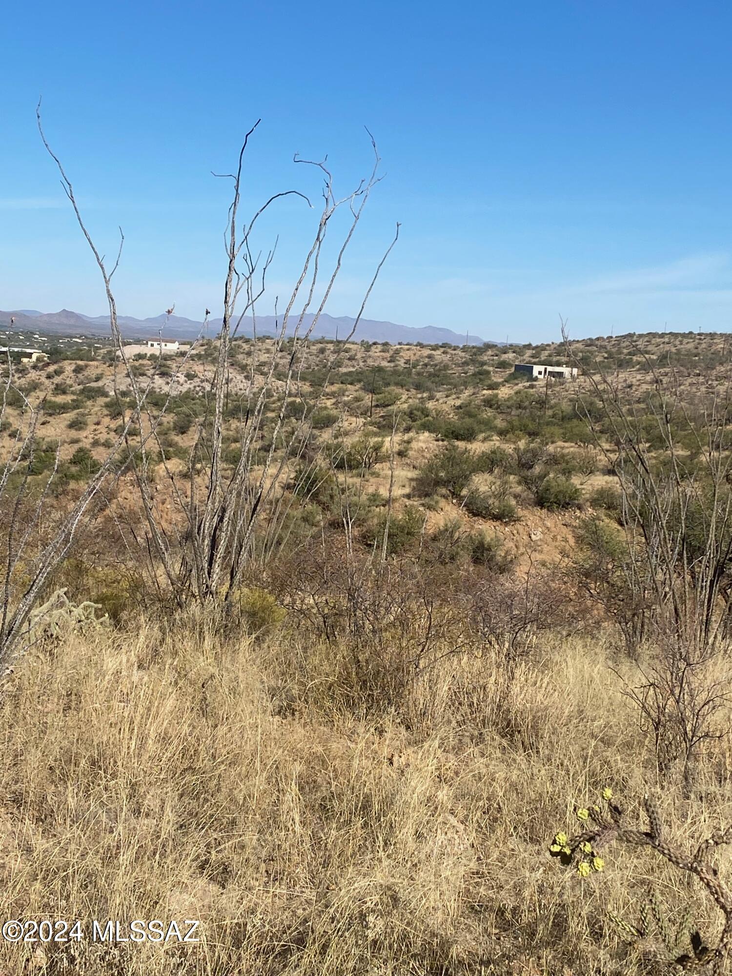 Rio Rico Ranchettes - Land