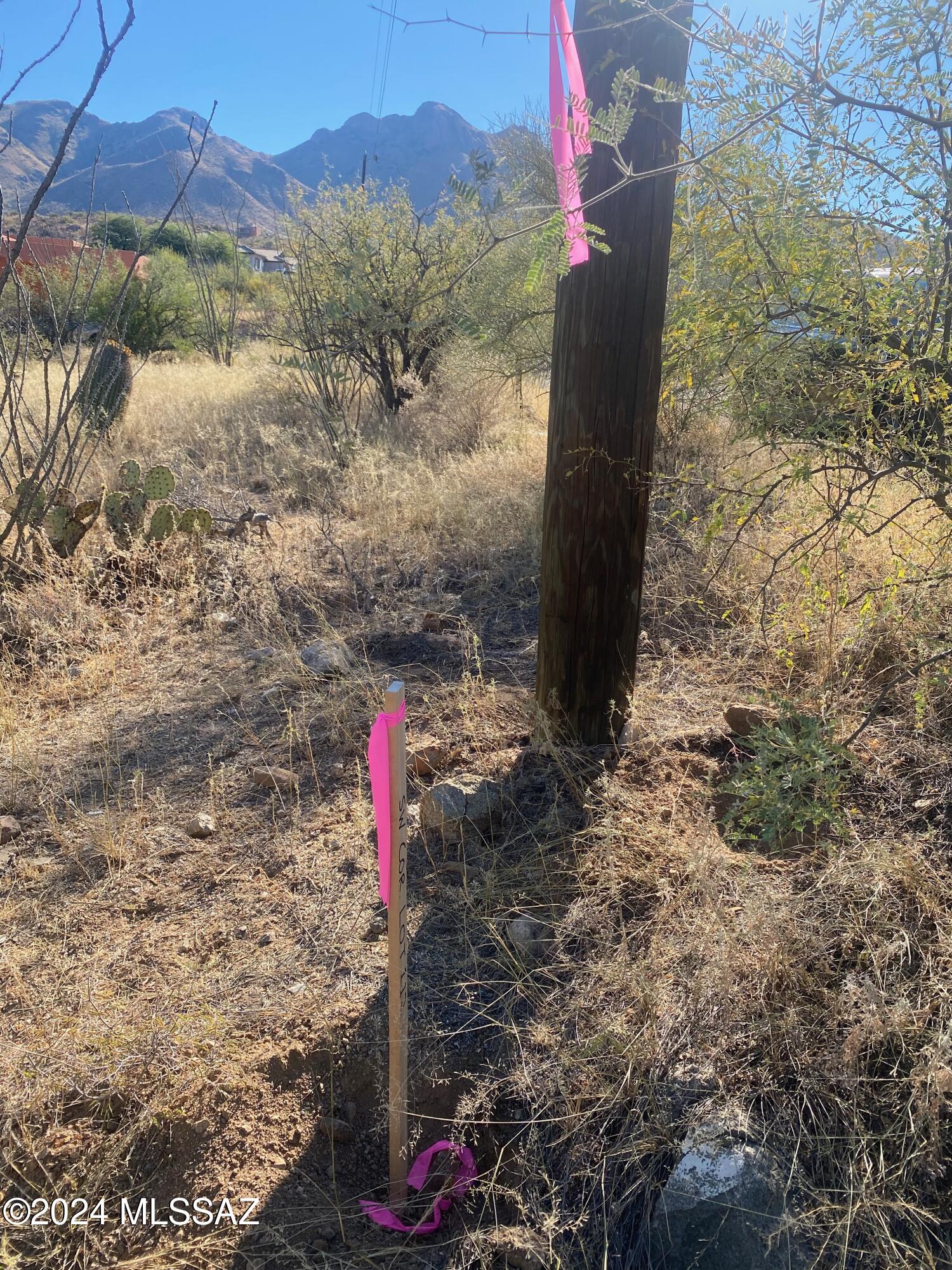 Rio Rico Ranchettes - Land