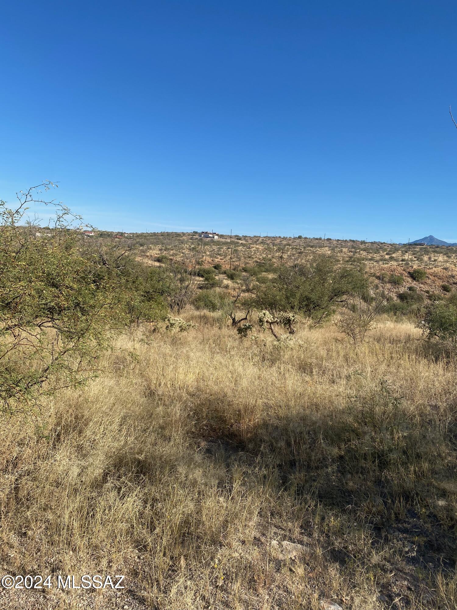 Rio Rico Ranchettes - Land