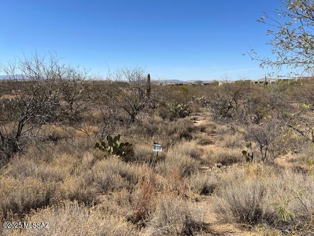 1.29 acres of natural desert flora. Natural landscaping between each home. Quiet, tranquil and desirable. Custom and semi-custom homes in the neighborhood. RV garages acceptable with HOA approval.