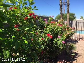Solano Estates (1-91) - Residential