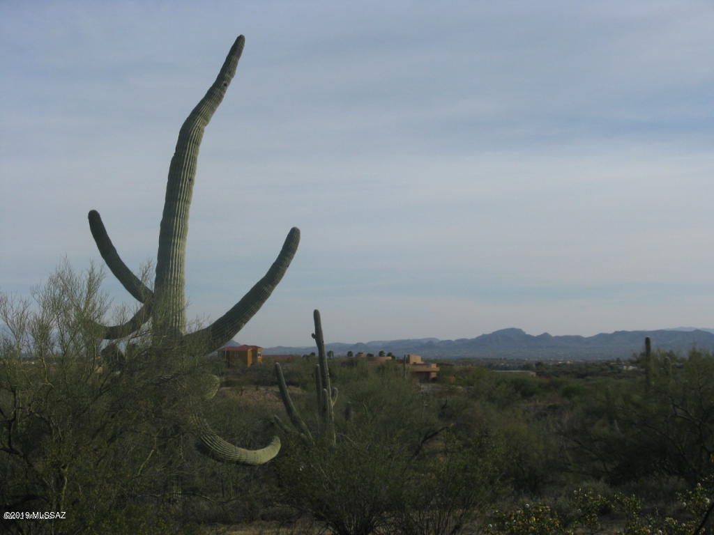 Chaparral Heights (1-73) - Land
