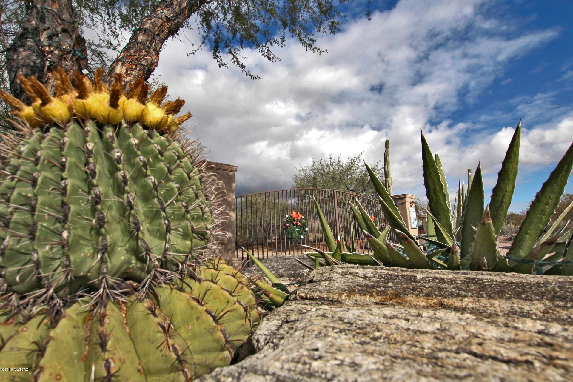 Sabino Heights II at Sabino Springs (1-32) - Residential