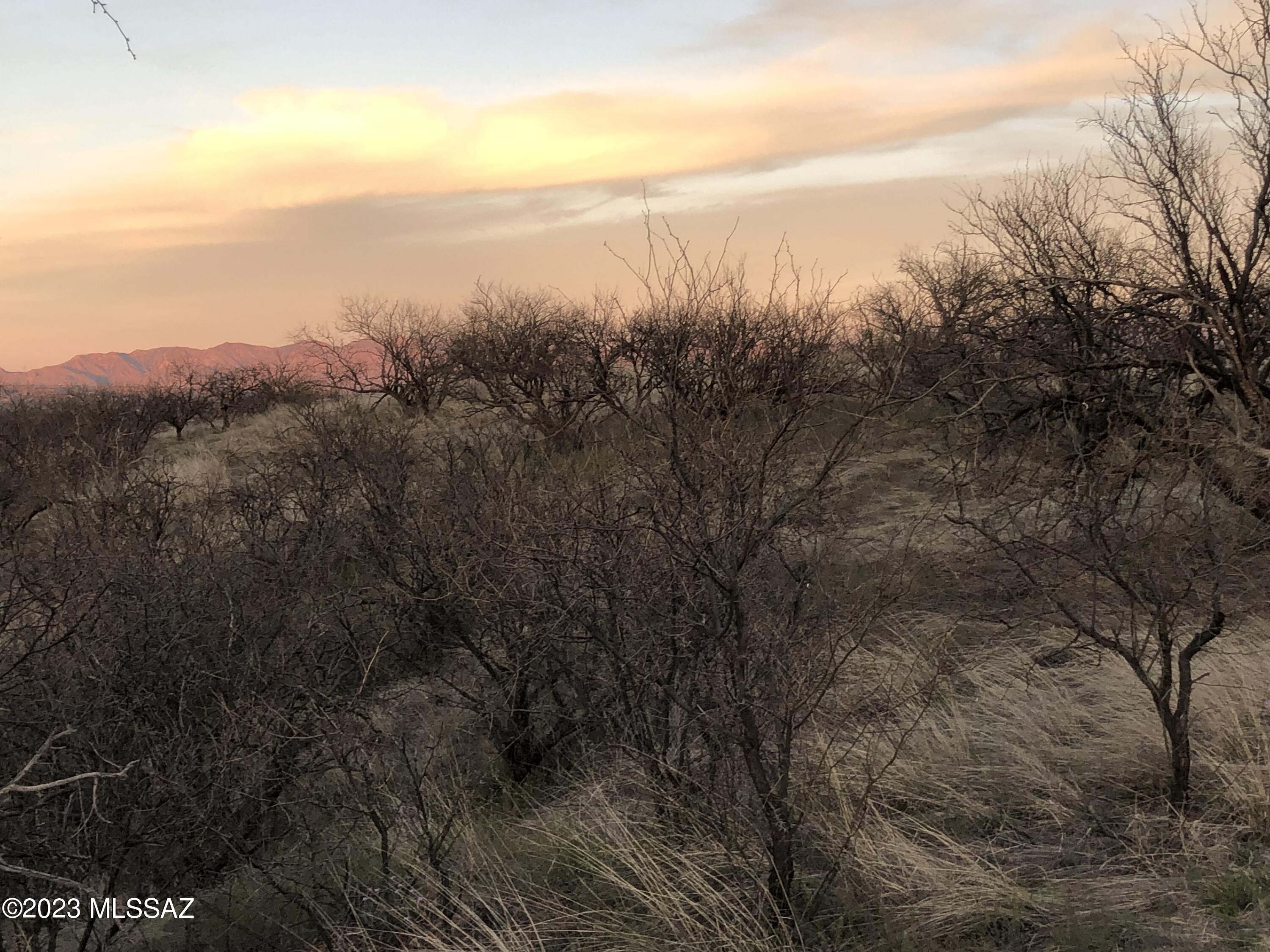 Large view lot in popular South West Rio Rico not far from the shopping center.  Lots of usable area on this 3.66 acre lot.  Electricity at the street.  Waiting on the water verification at this time.  There should be water at the street since there are houses in both directions.