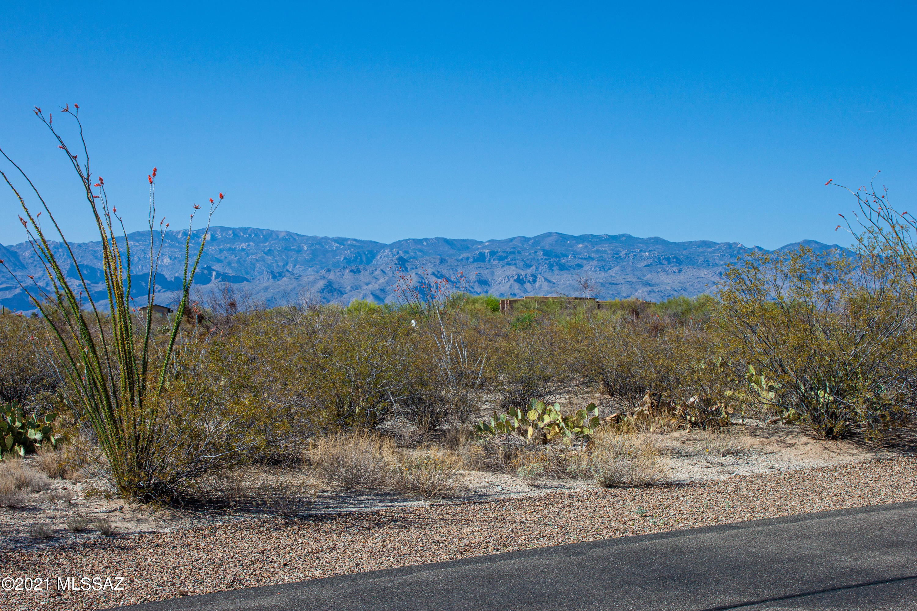 Saguaro Monument Estates - Land