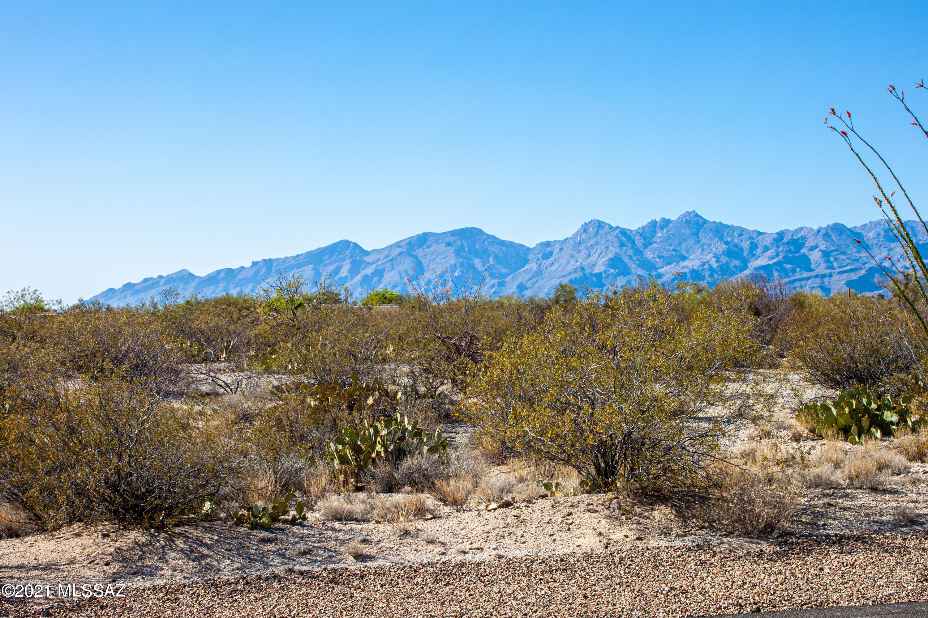 Saguaro Monument Estates - Land