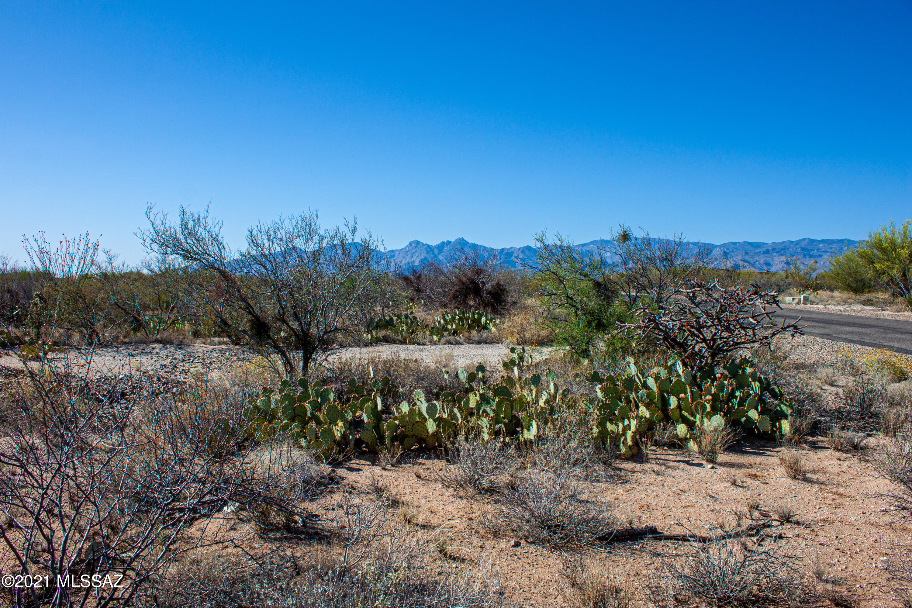 Saguaro Monument Estates - Land