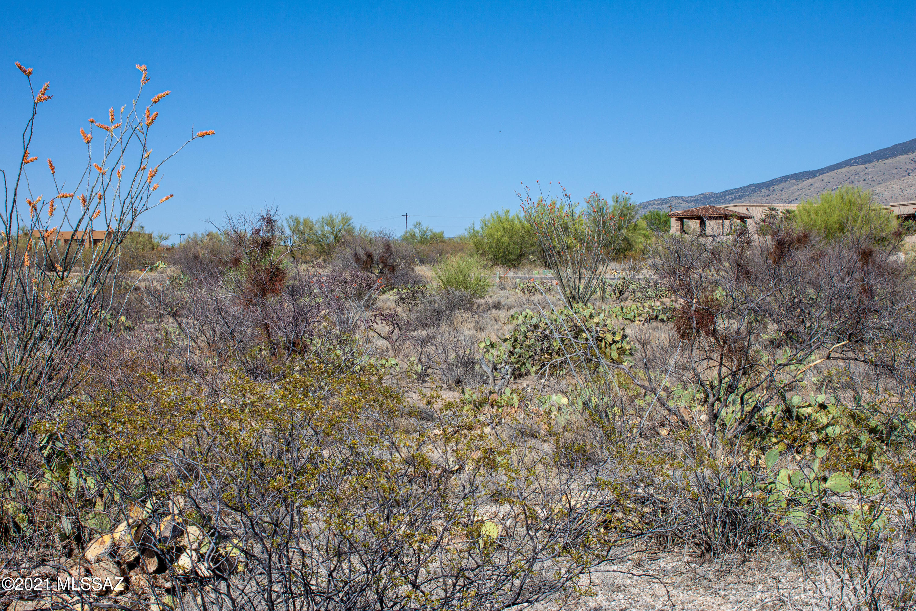 Saguaro Monument Estates - Land