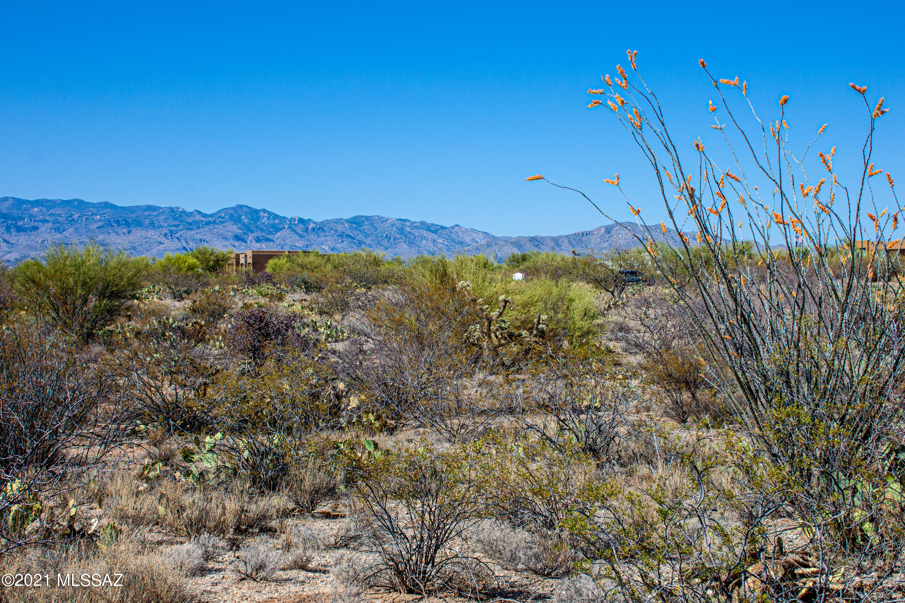 Saguaro Monument Estates - Land