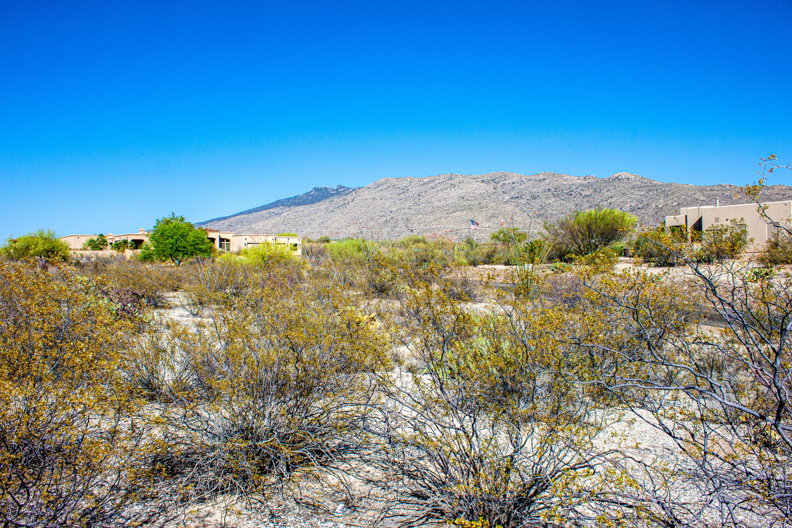 Saguaro Monument Estates - Land