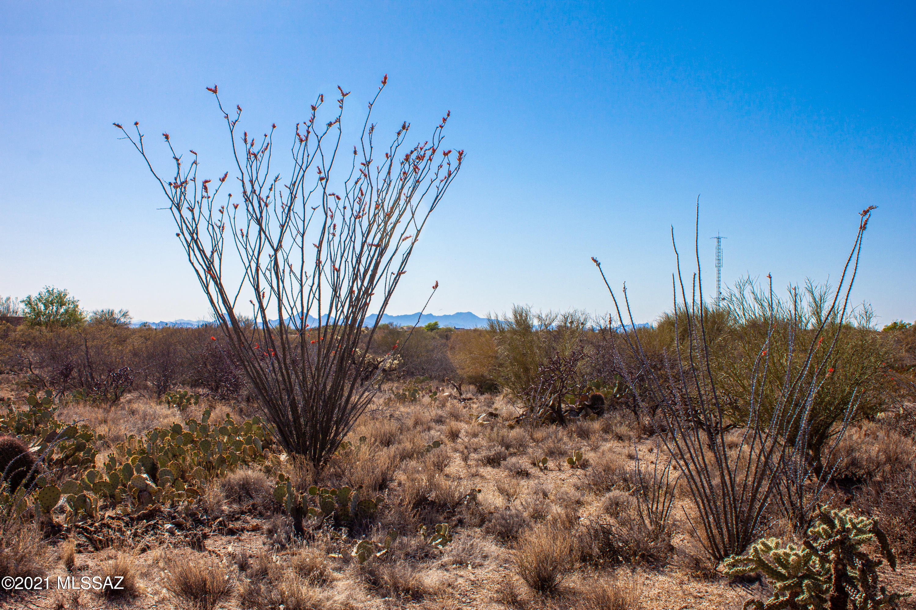 Saguaro Monument Estates - Land