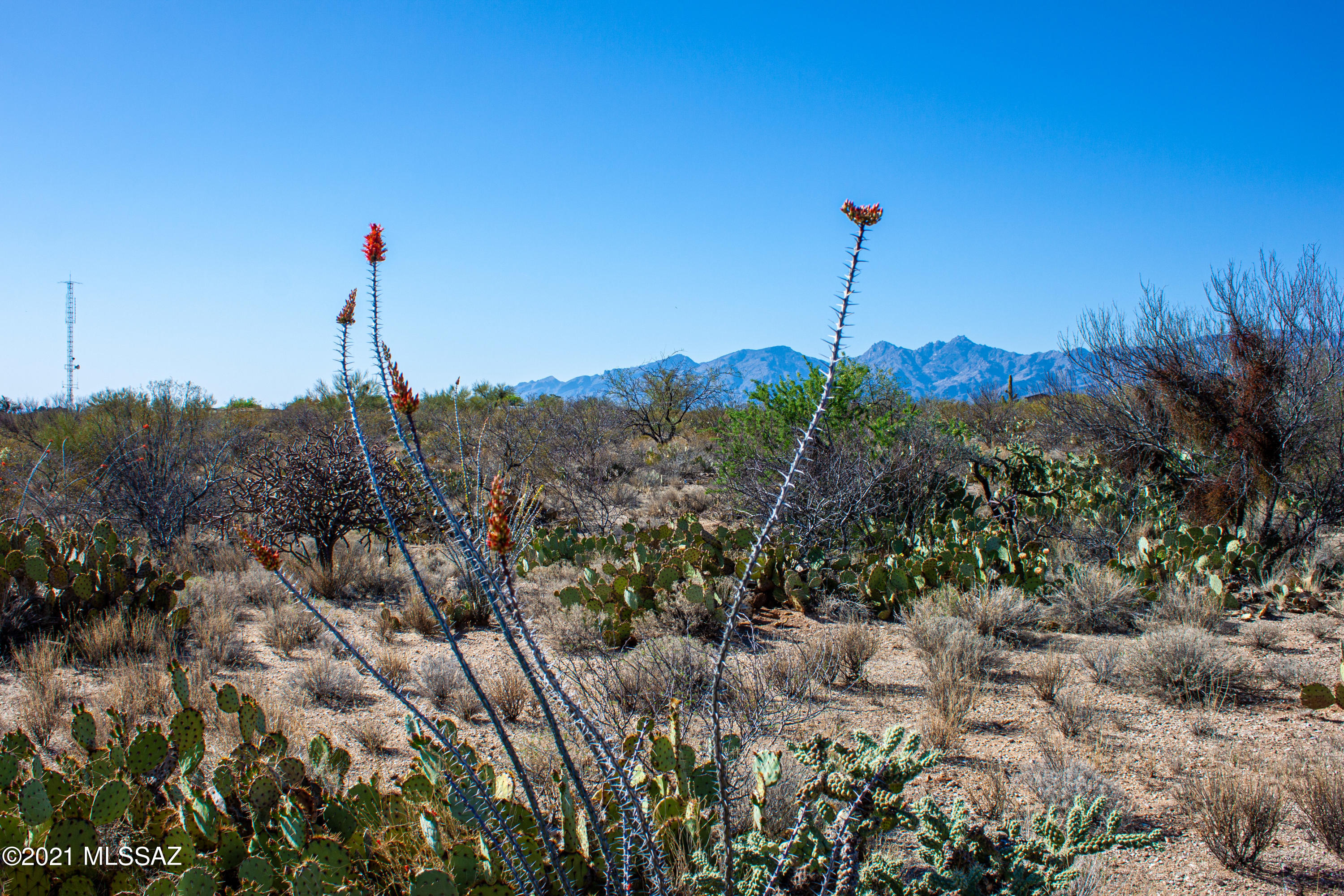 Saguaro Monument Estates - Land