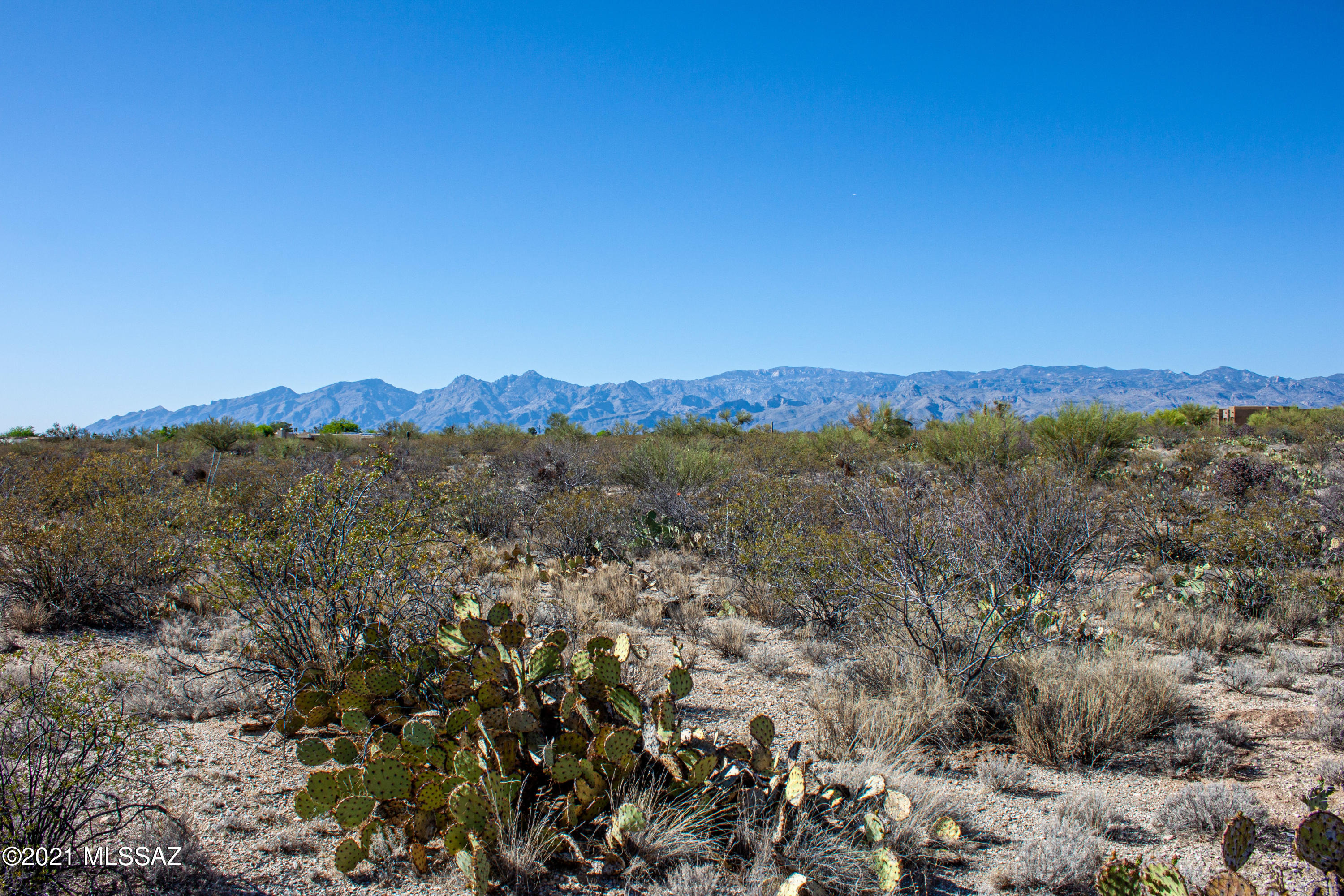 Saguaro Monument Estates - Land