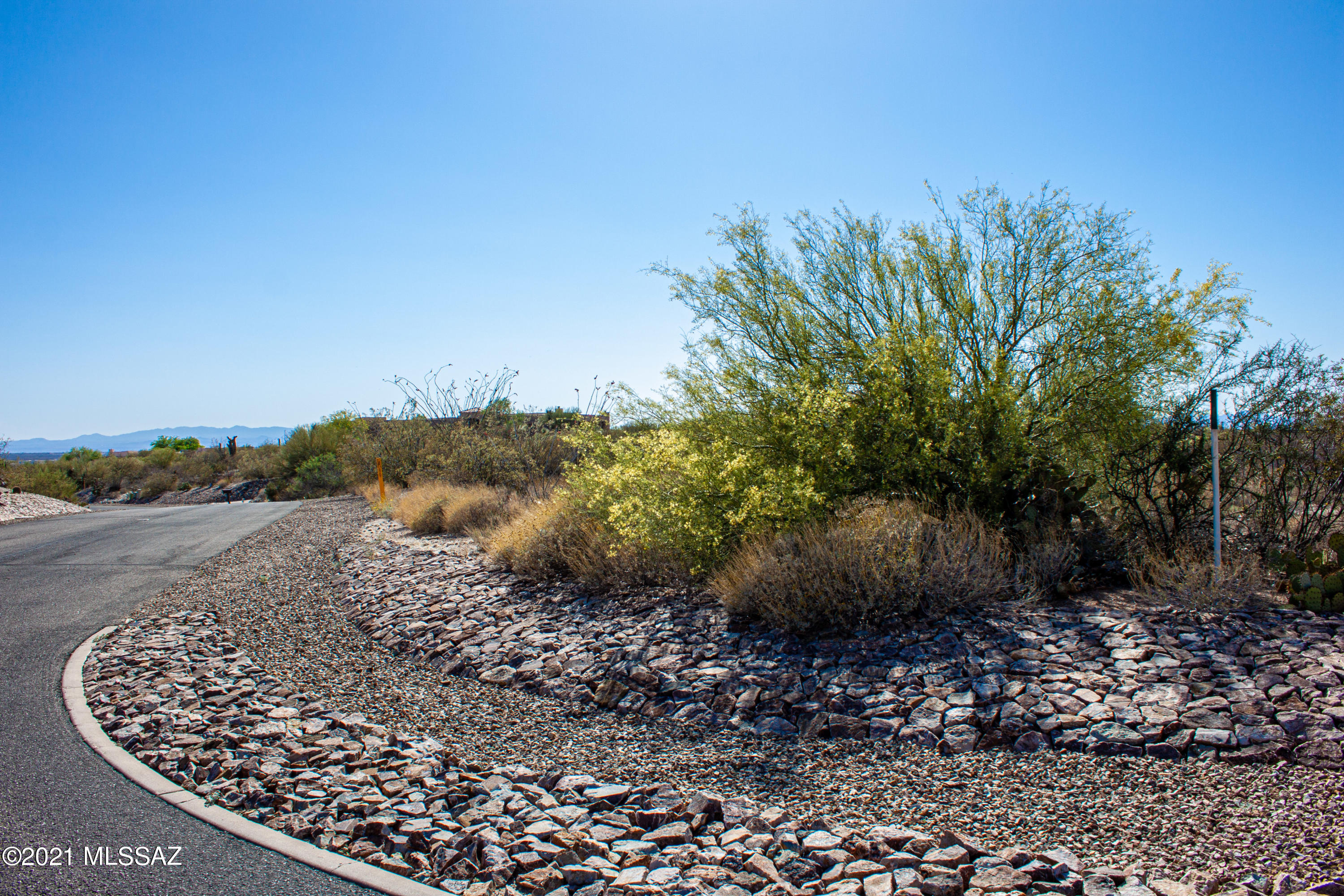 Saguaro Monument Estates - Land