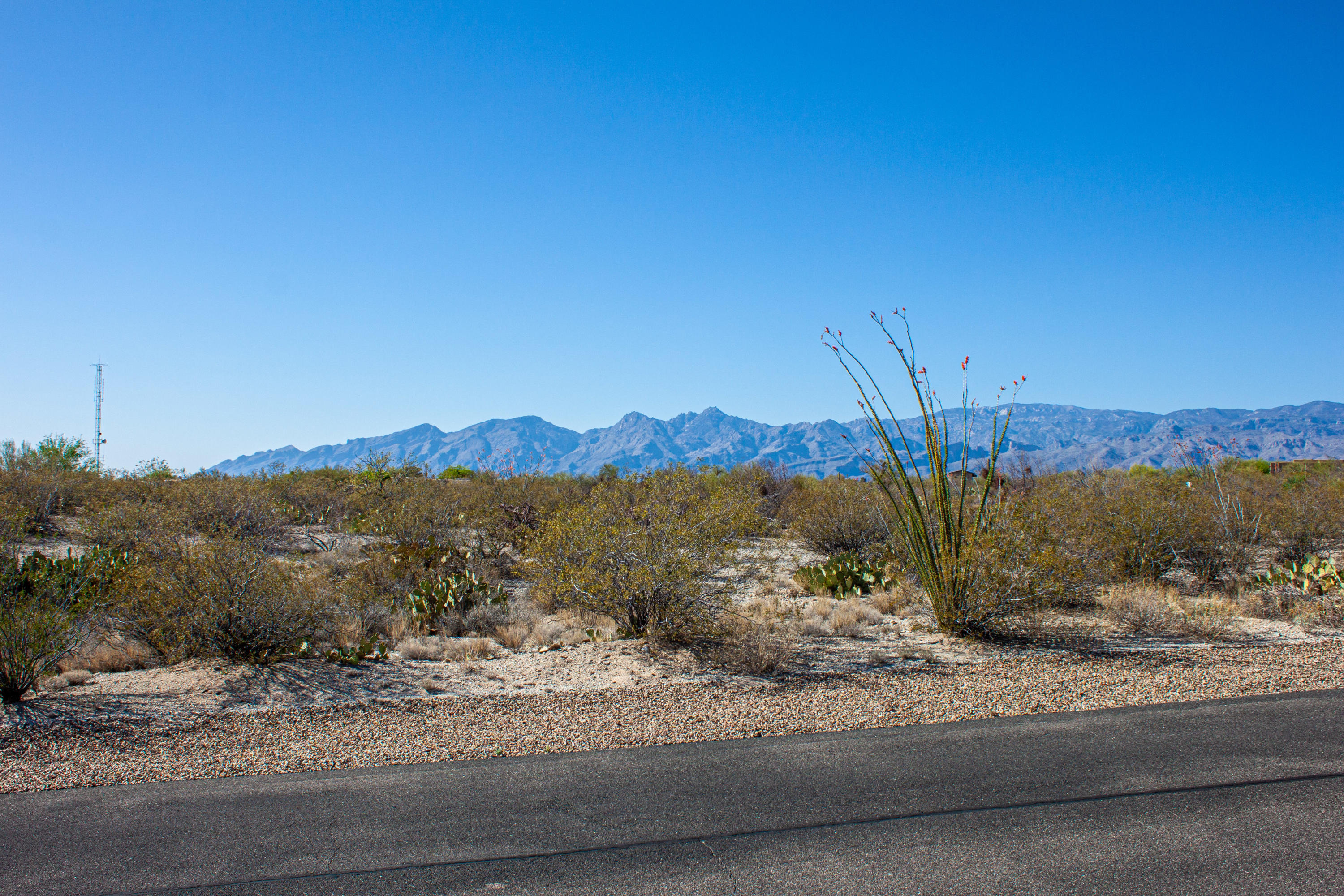 Saguaro Monument Estates - Land