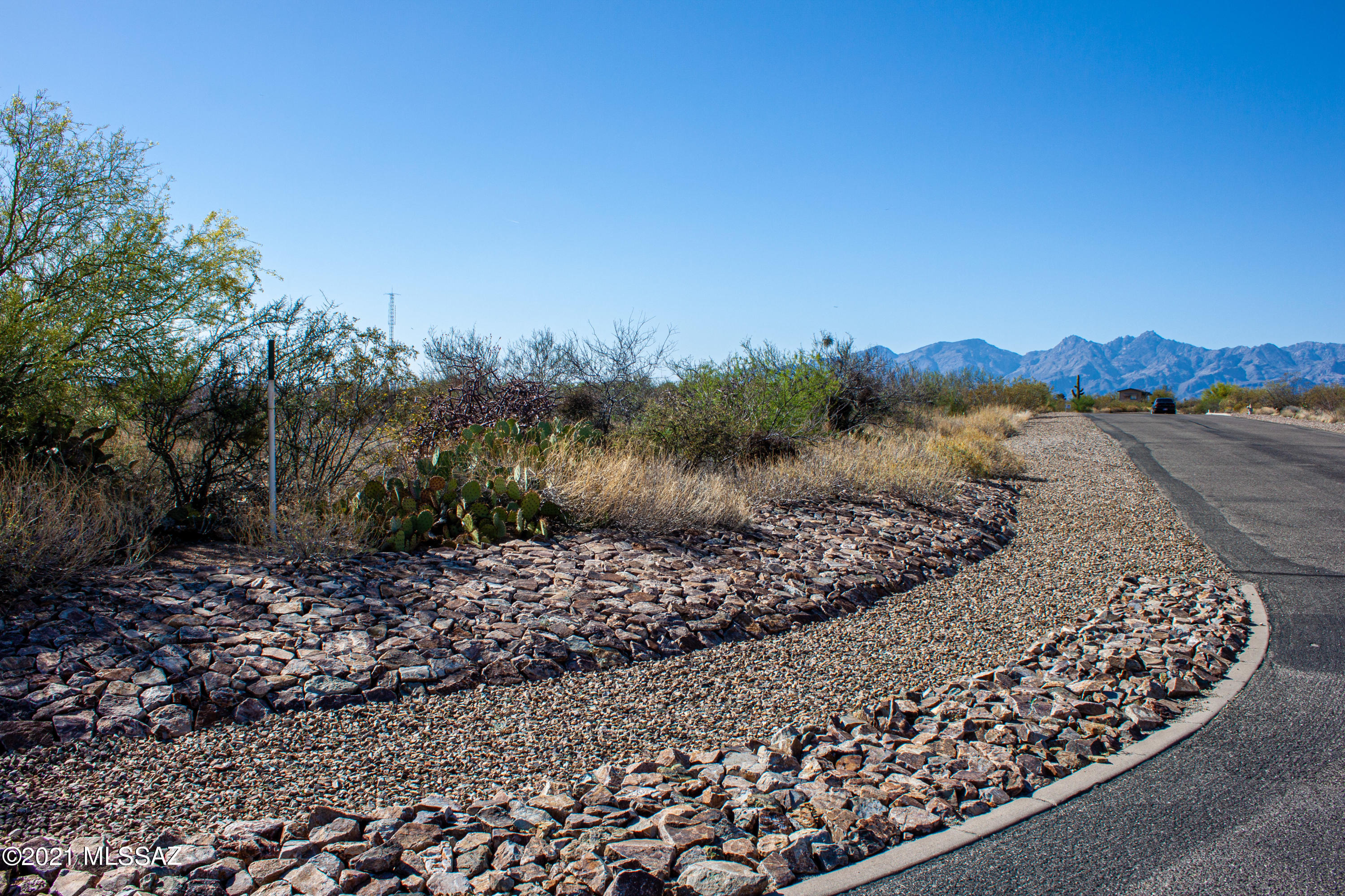 Saguaro Monument Estates - Land
