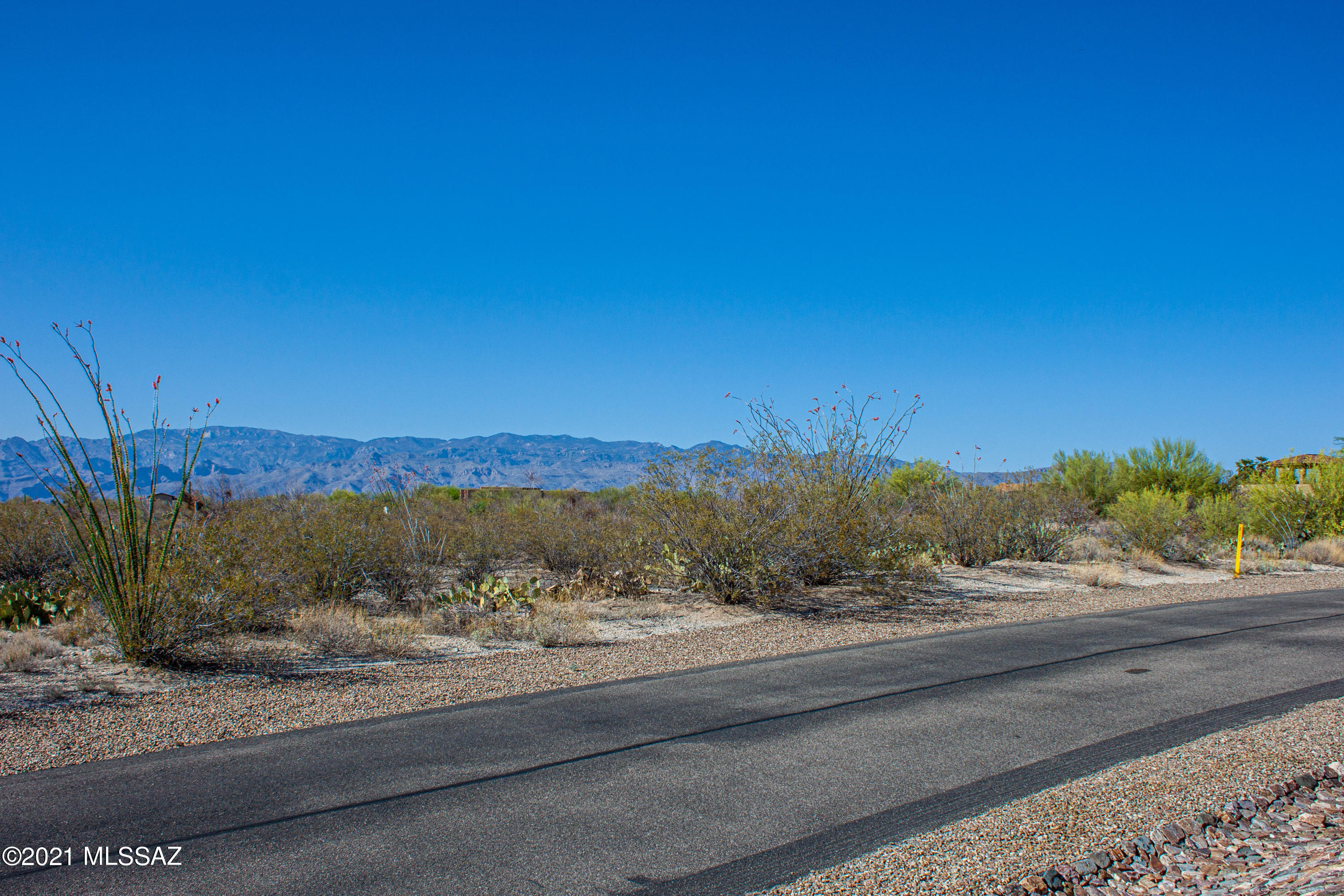 Saguaro Monument Estates - Land