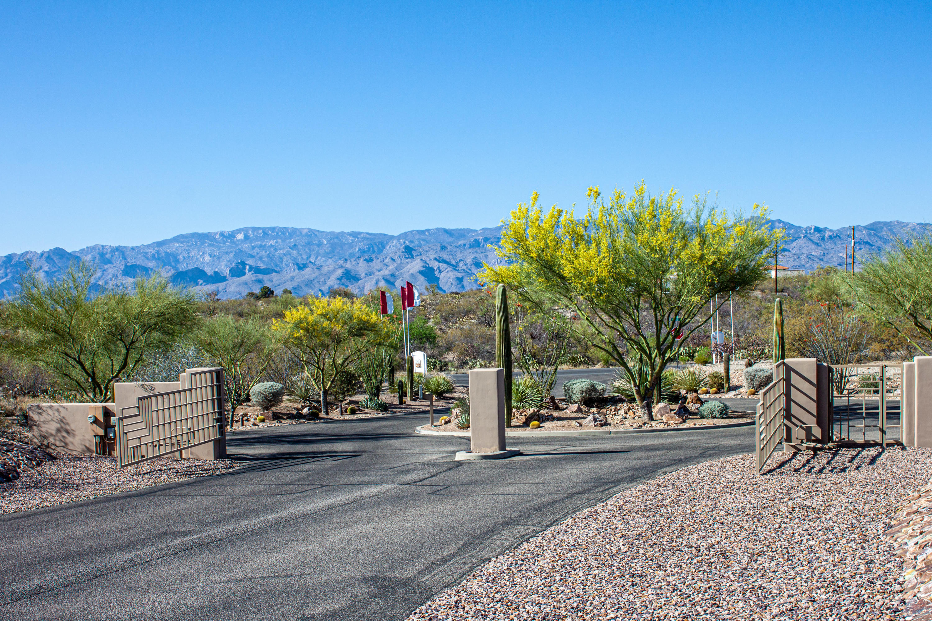 Saguaro Monument Estates - Land