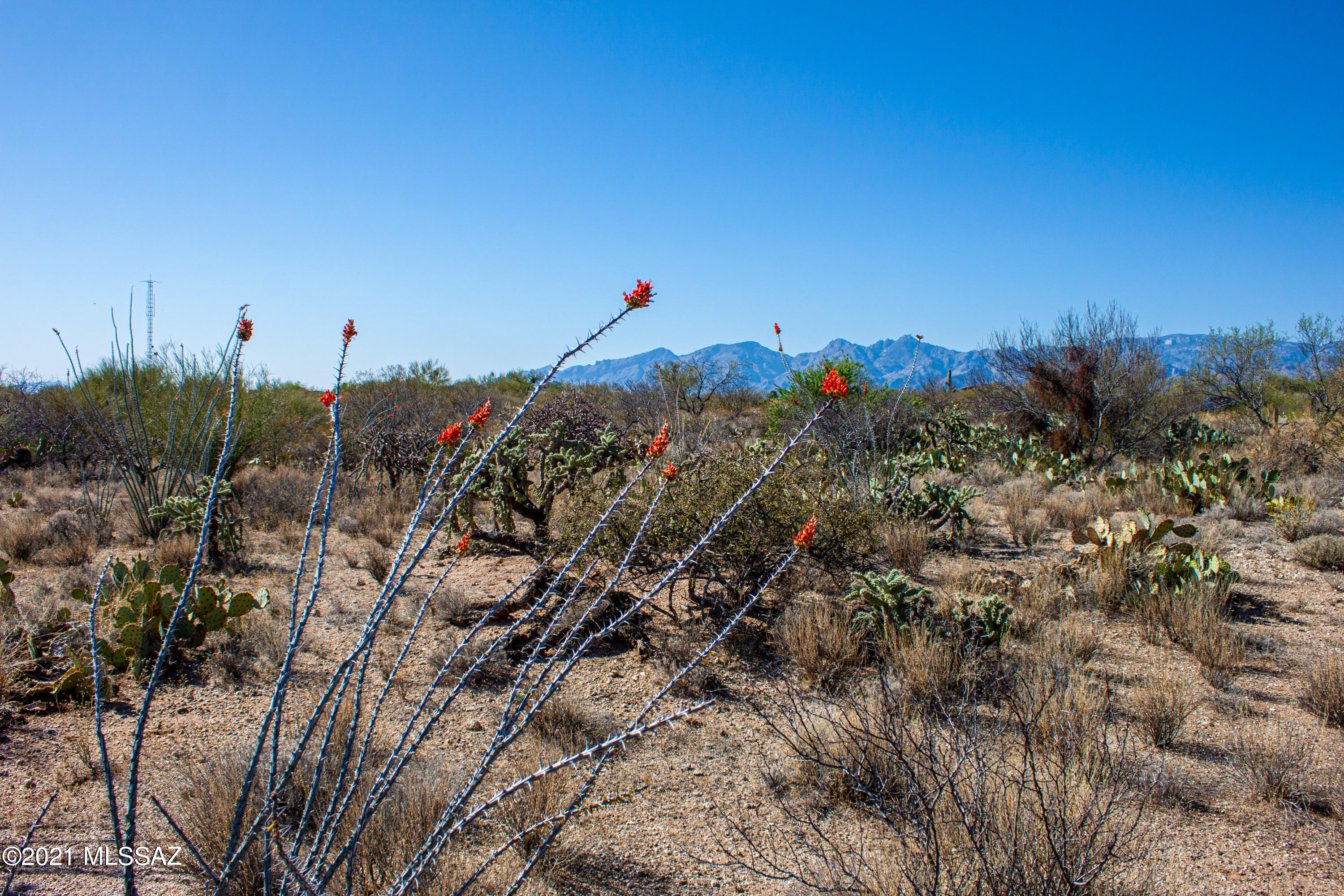 Saguaro Monument Estates - Land