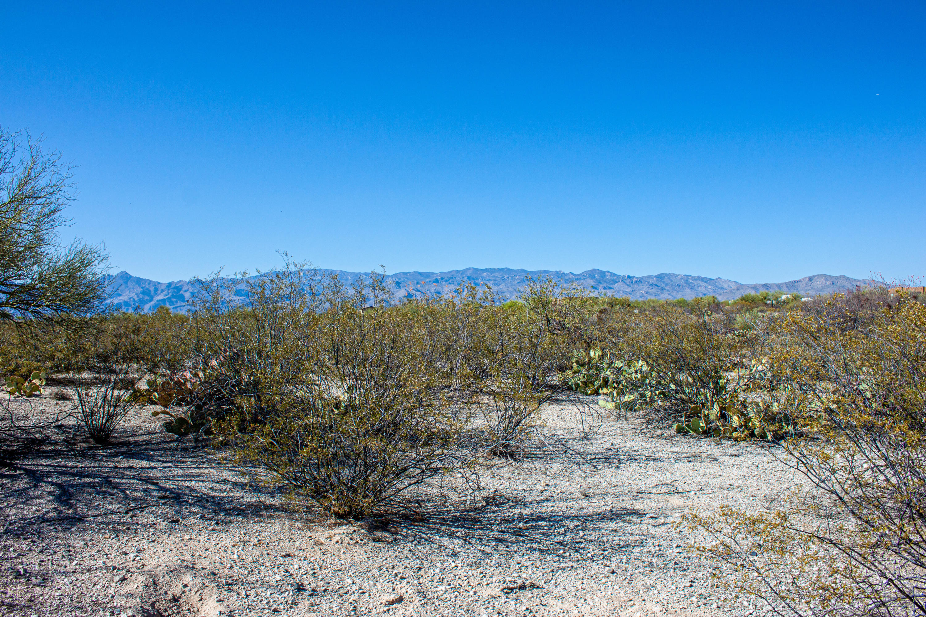 Saguaro Monument Estates - Land