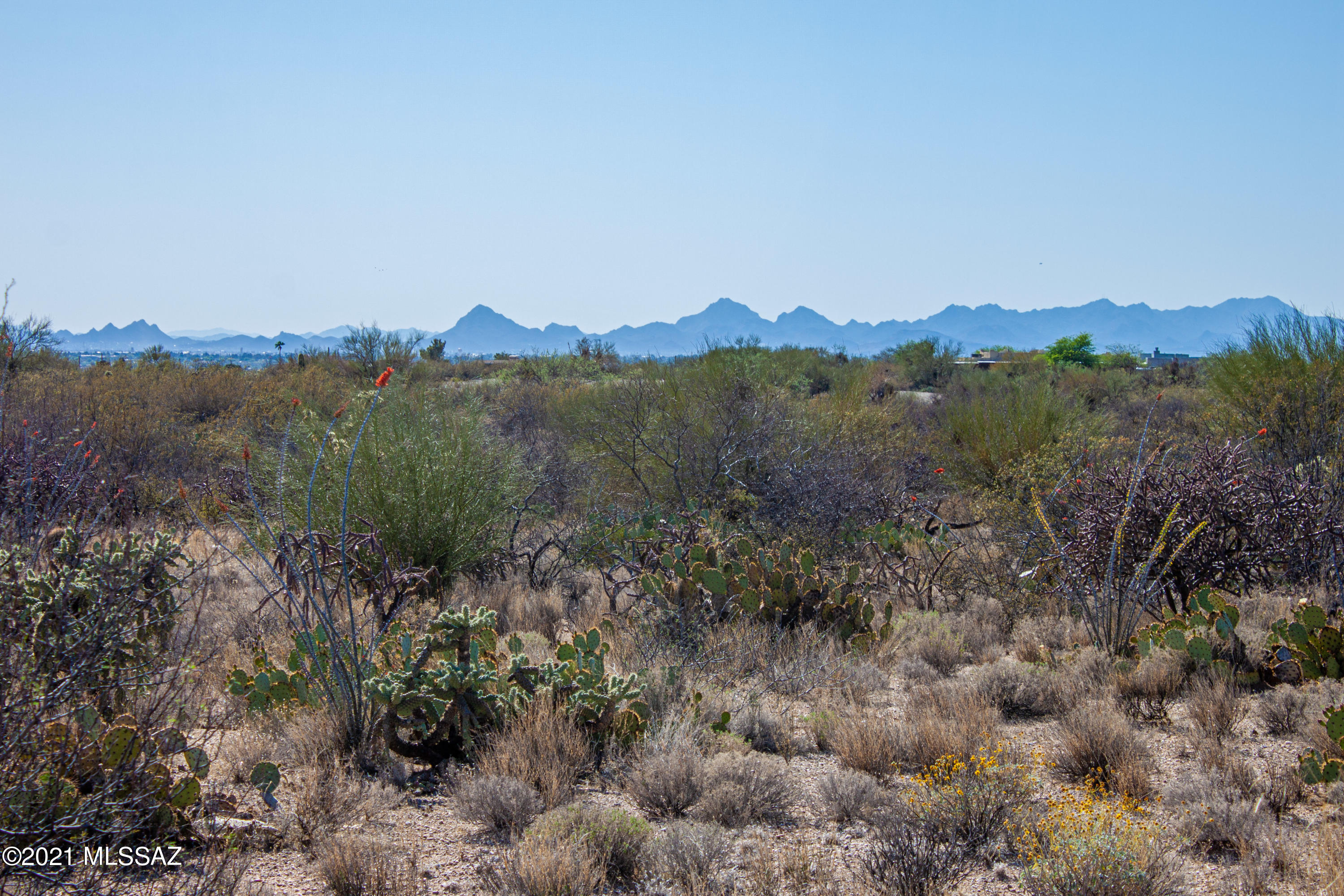 Saguaro Monument Estates - Land