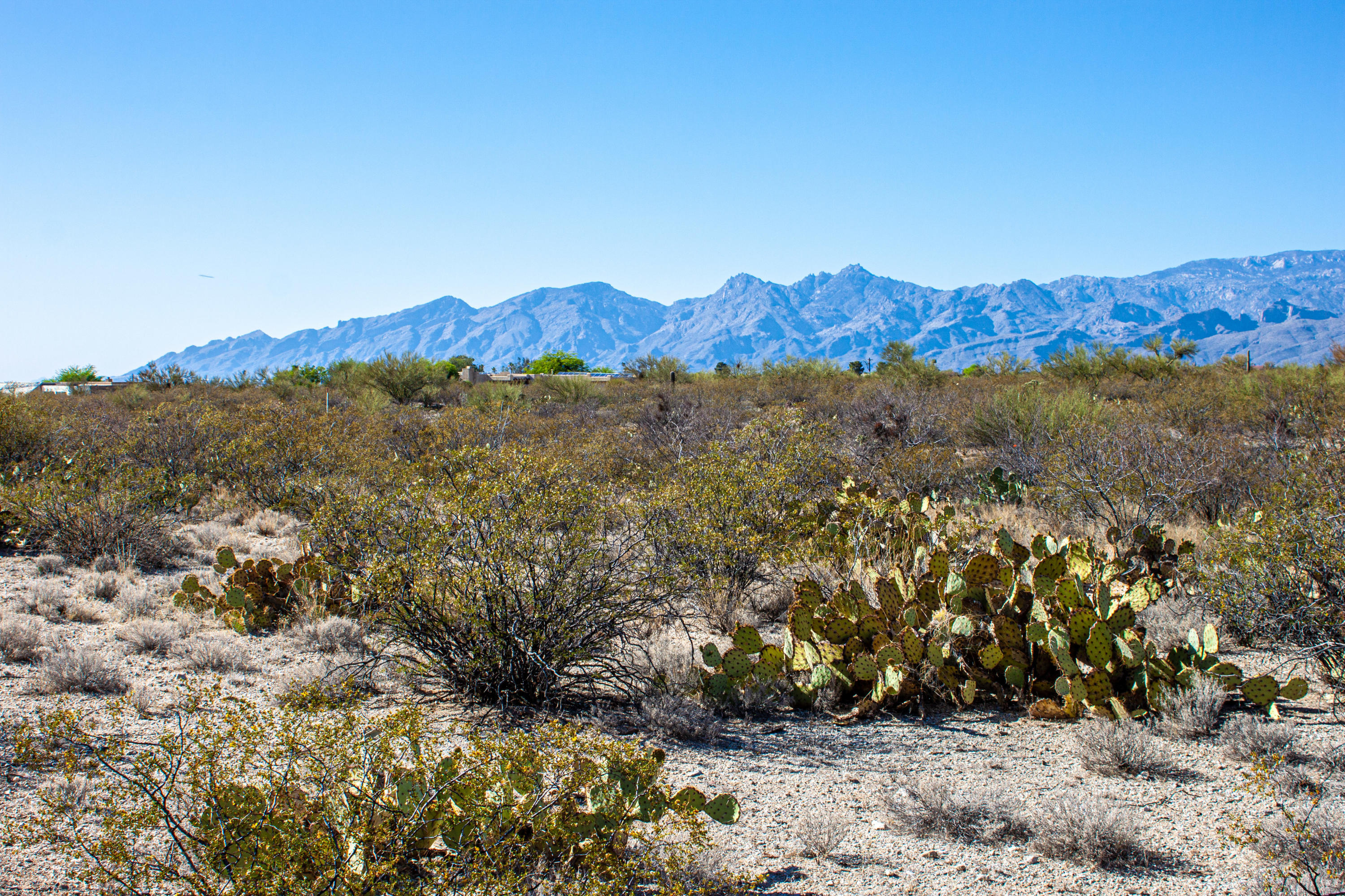 Saguaro Monument Estates - Land