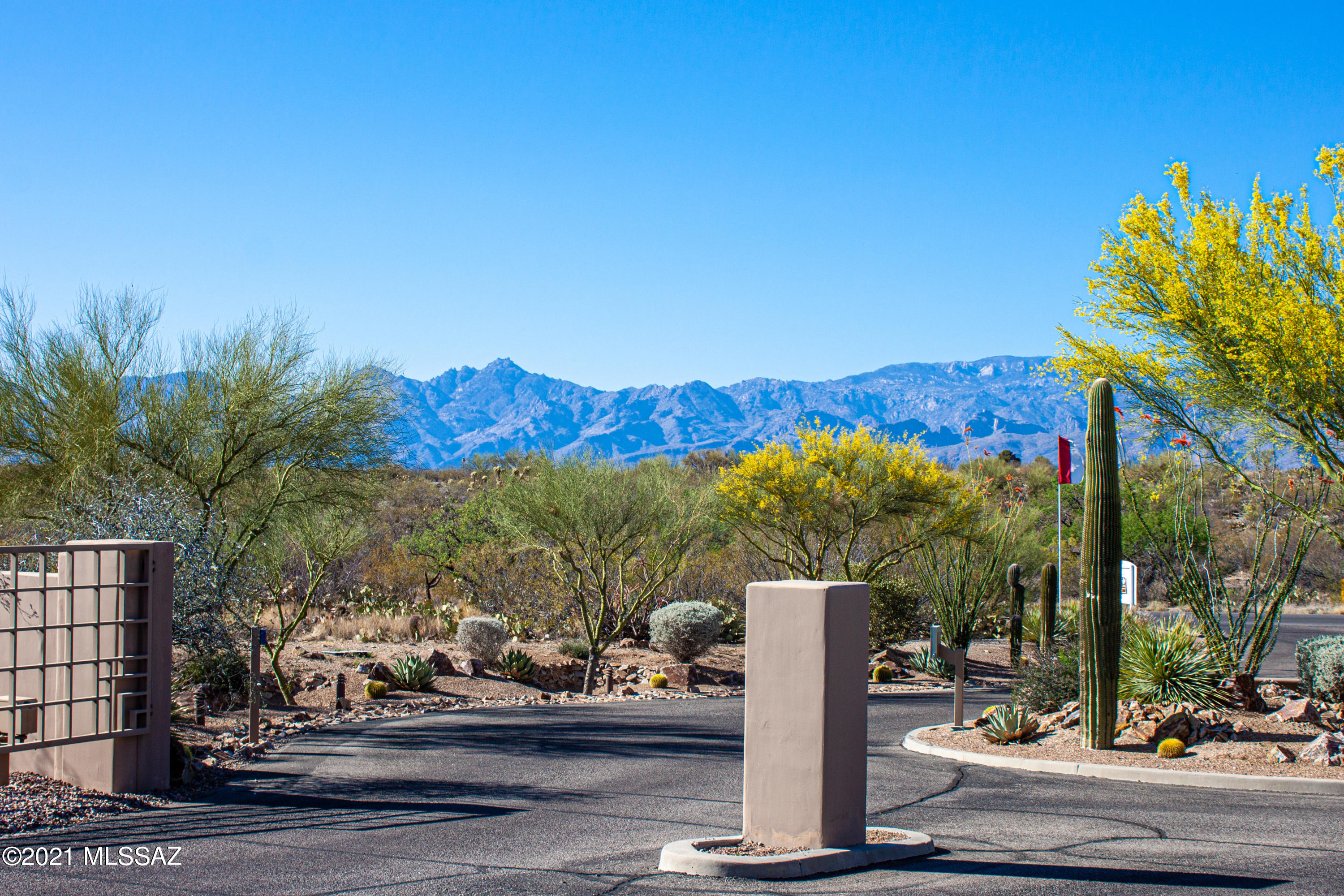 Saguaro Monument Estates - Land