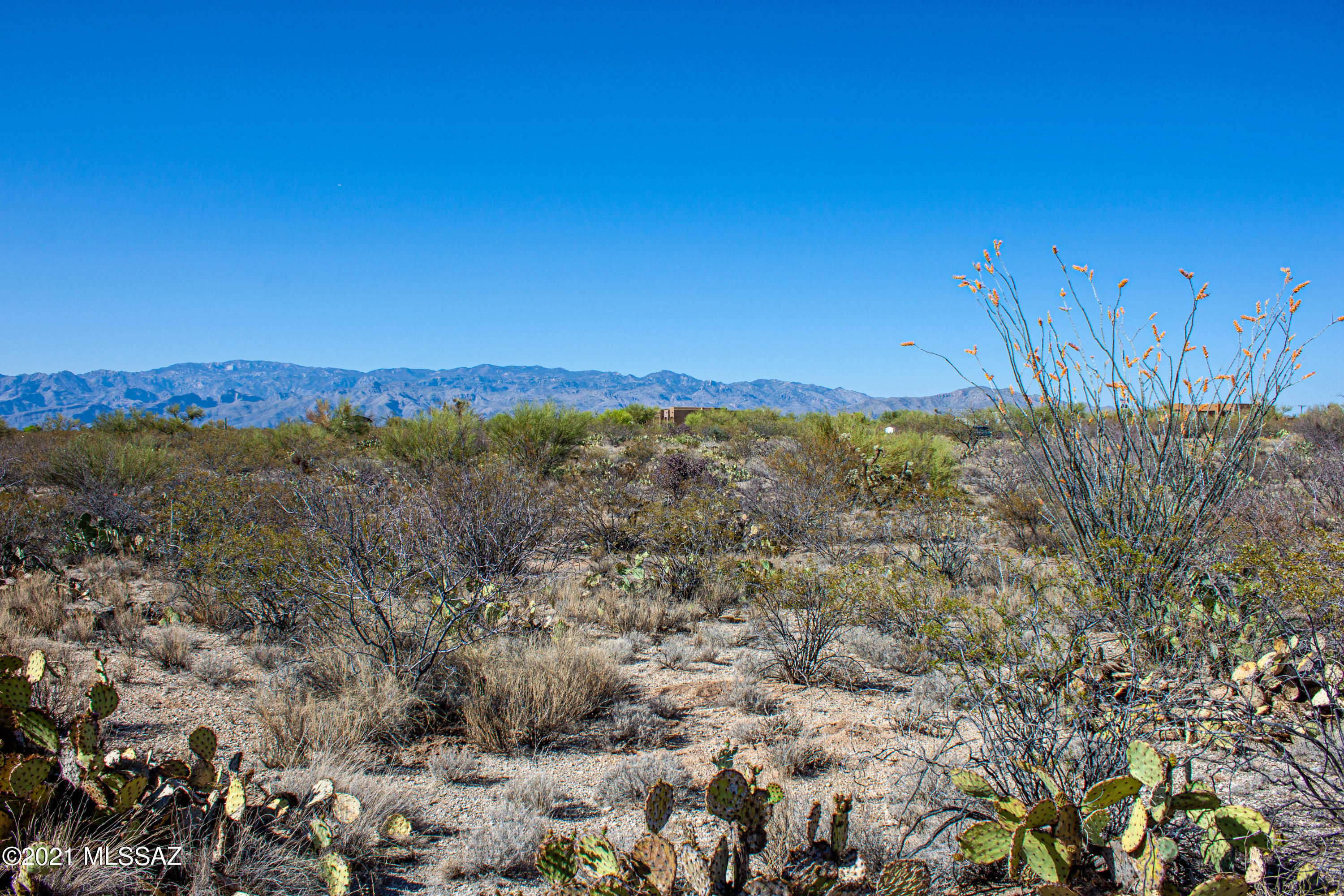 Saguaro Monument Estates - Land
