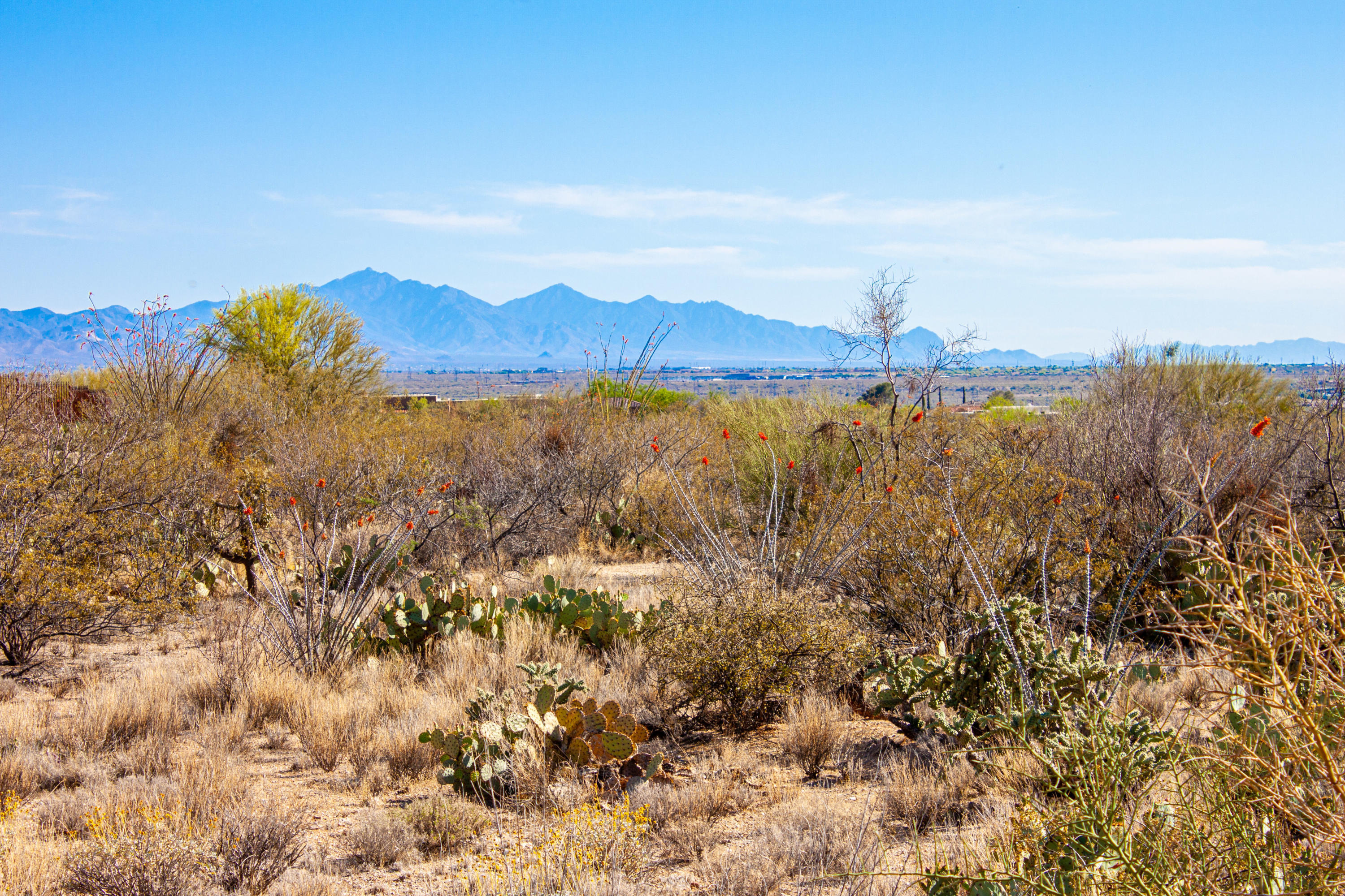 Saguaro Monument Estates - Land
