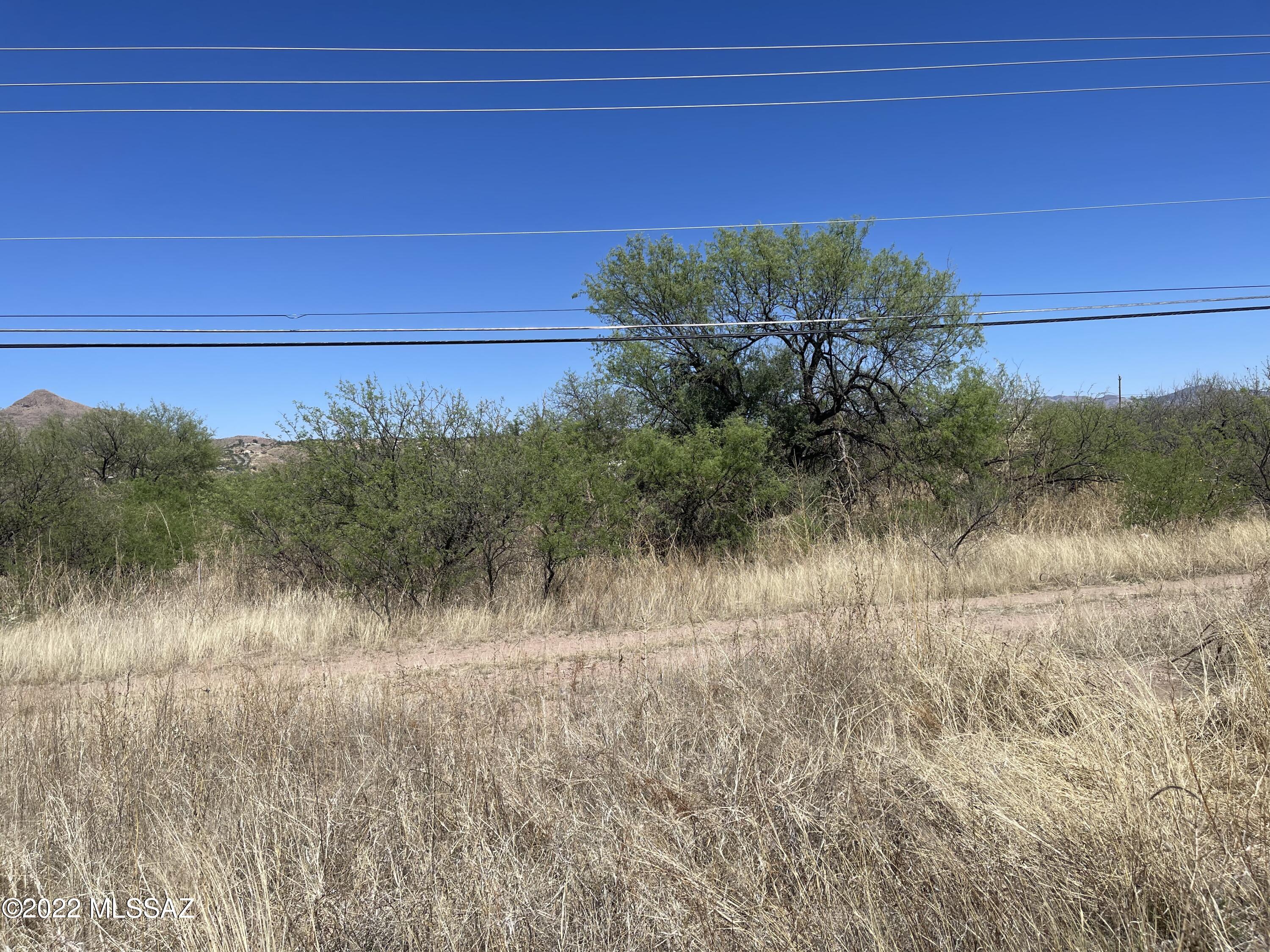 Rio Rico  Unit No 7 - Land