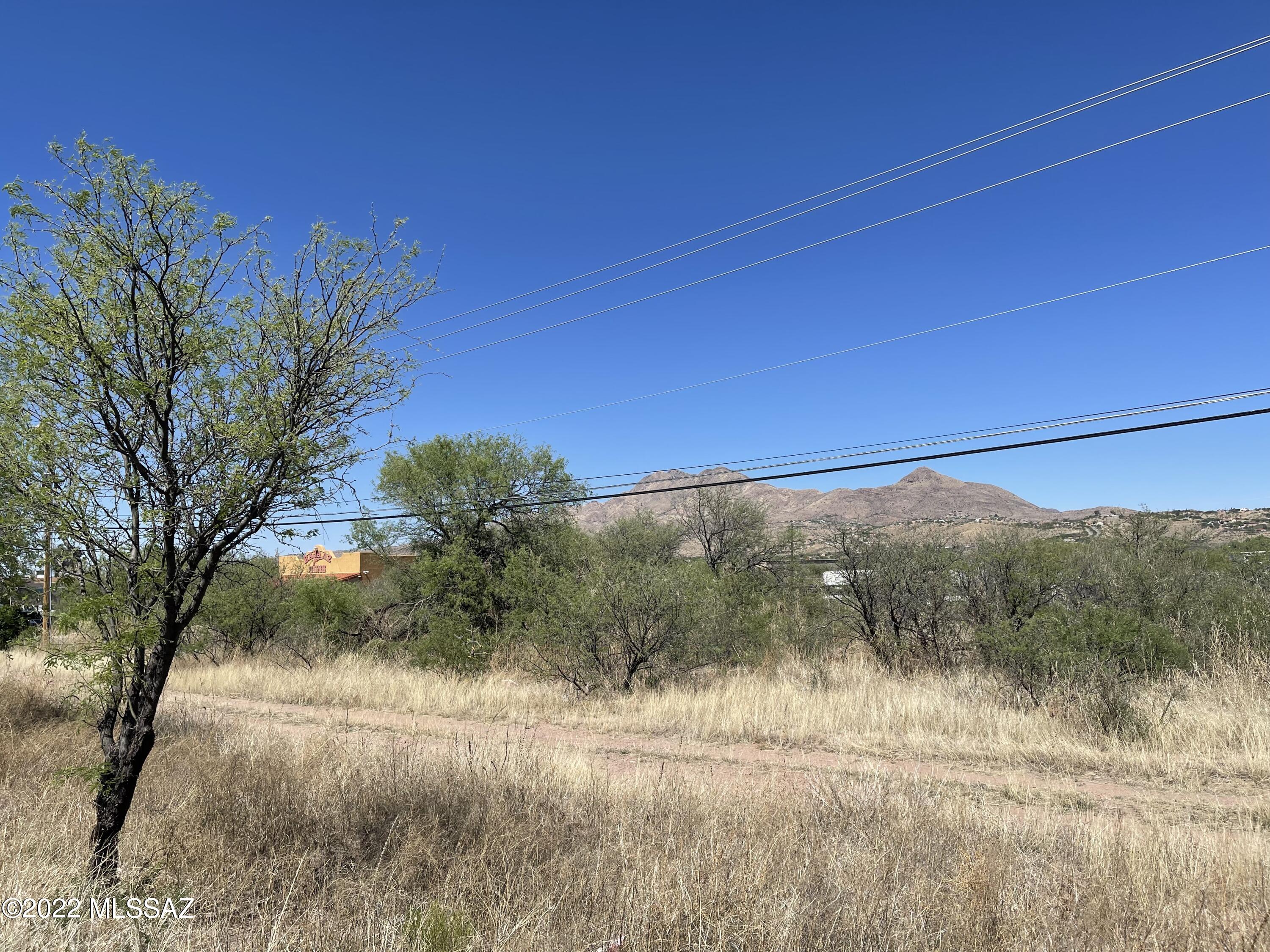 Rio Rico  Unit No 7 - Land