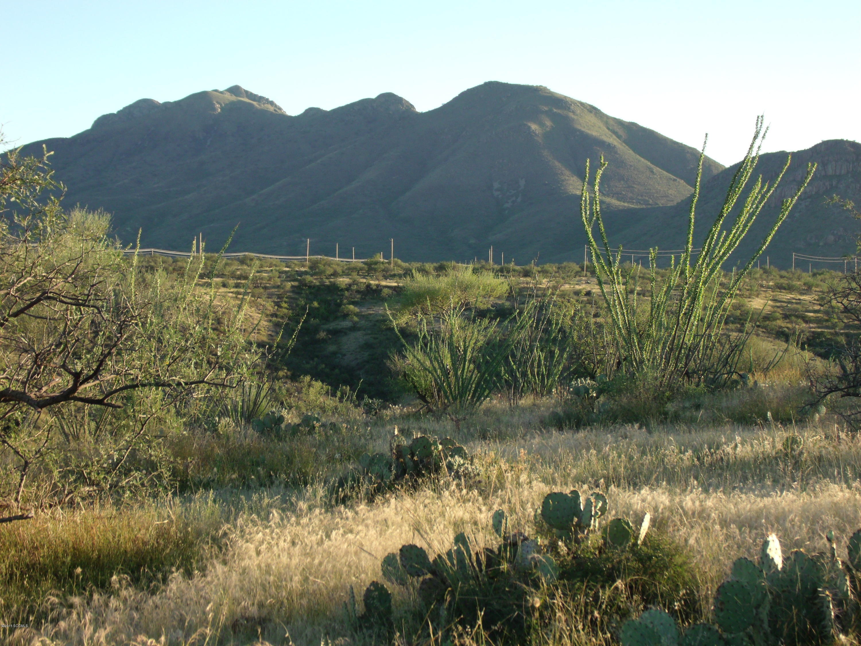 Large parcel with excellent homesite(s) and fantastic views! Great get-away from city noise & congestion. Horses are permitted. Located south of the Village of Tubac with its history, art galleries, restaurants and shops. Conveniences of Rio Rico just minutes away. The city of Tucson is an hour away, while the border city of Nogales can be reached in less than 1/2 an hour. Electric to property line.