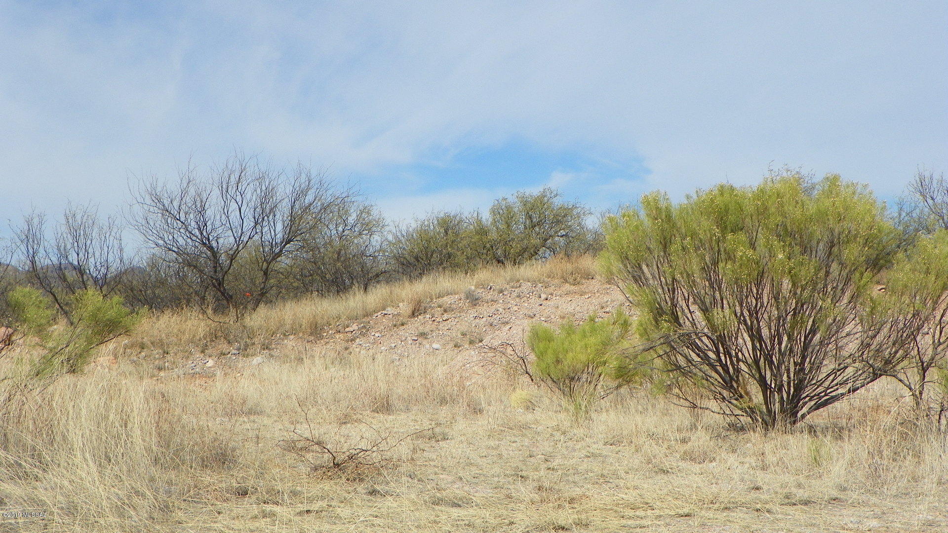 Rio Rico Estates 4 - Land