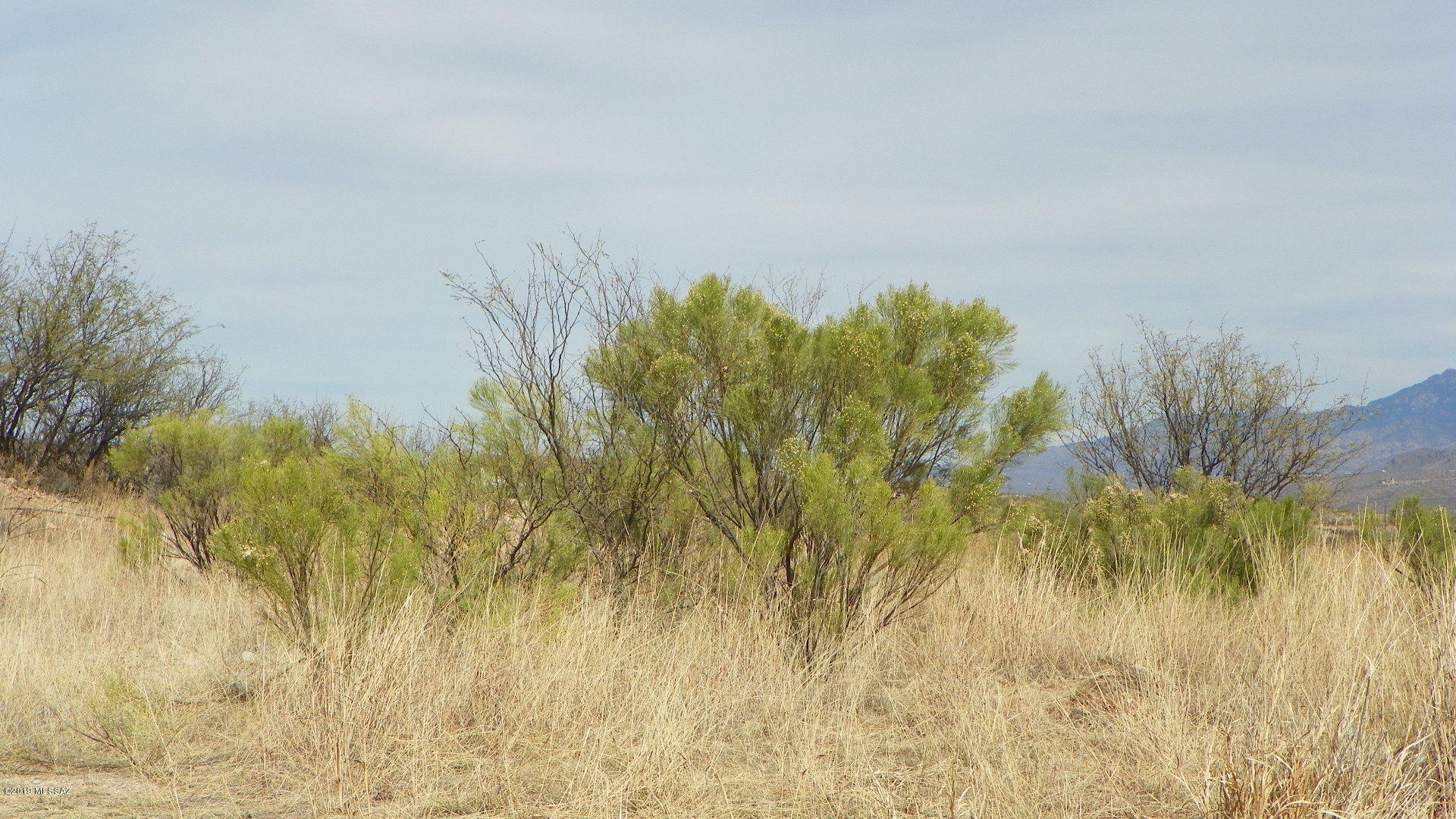 Rio Rico Estates 4 - Land
