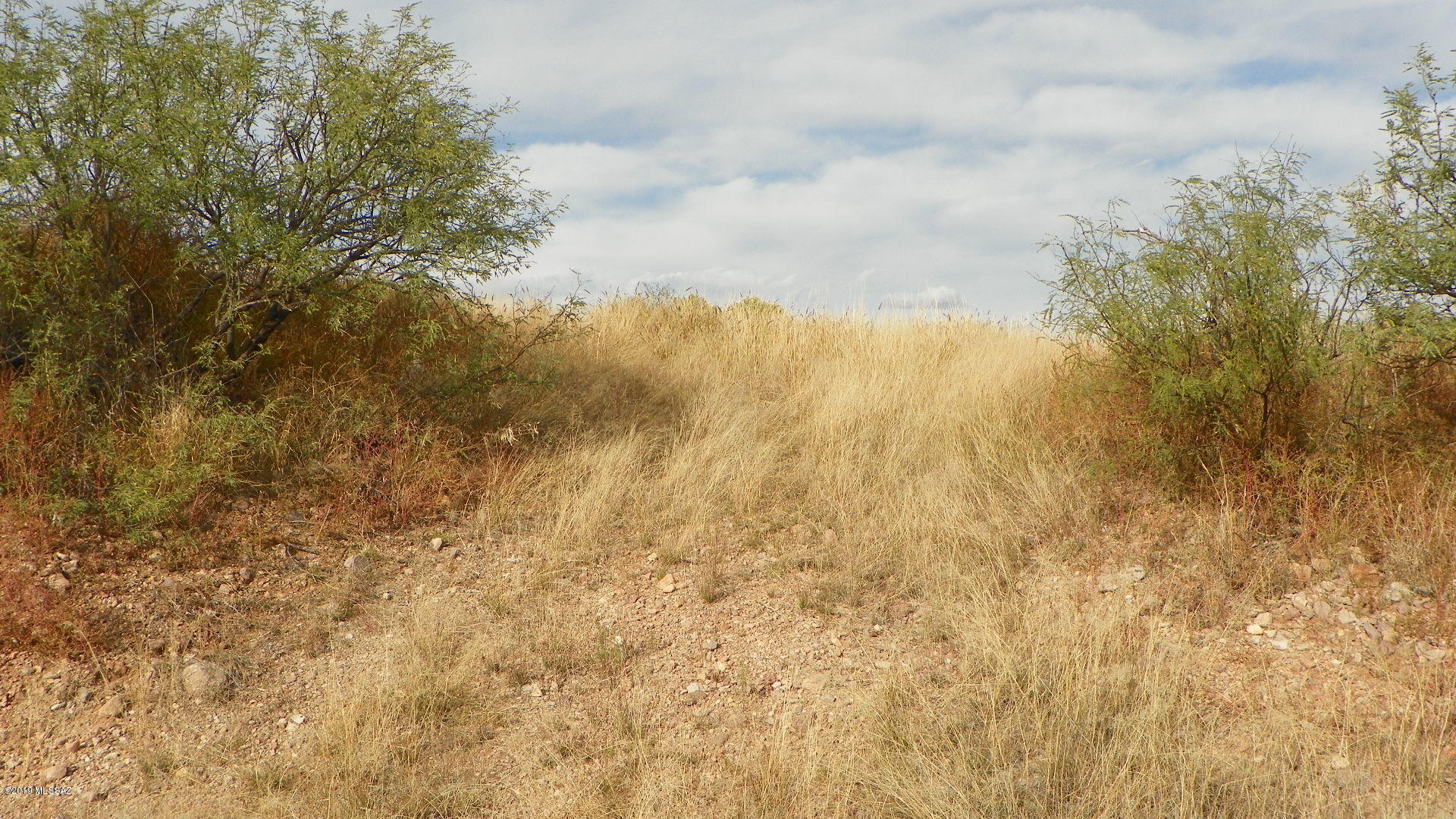 Rio Rico Estates 4 - Land