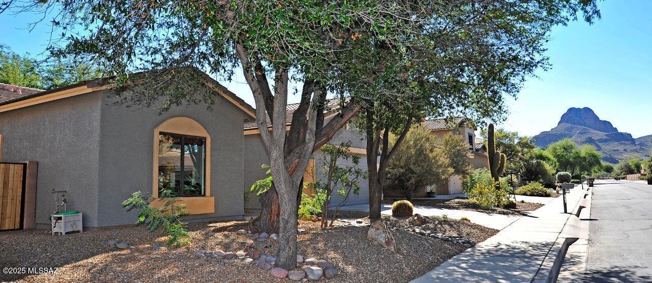 If you are looking for top of the line designer features including wood flooring, built in cabinetry and wall covering and paint ,this is the property for you. Not only will you like what you see on the inside but you will also like what you see outside in the back yard. Truly a lush green experience with no houses behind it, backs up to a wash . This well maintained and lovingly taken care of 3BR 2BA home is one you will not only want to see but one that you deserve to call you own. One look and you will be ready to make your dream come true. Continental Reserve is a very charming community with many opportunities for outdoor activities. walking/jogging/bike paths, Tennis courts, Basketball court and a small local park. It is also  very close to restaurants and shopping. This is a great welcoming and friendly community to live in.