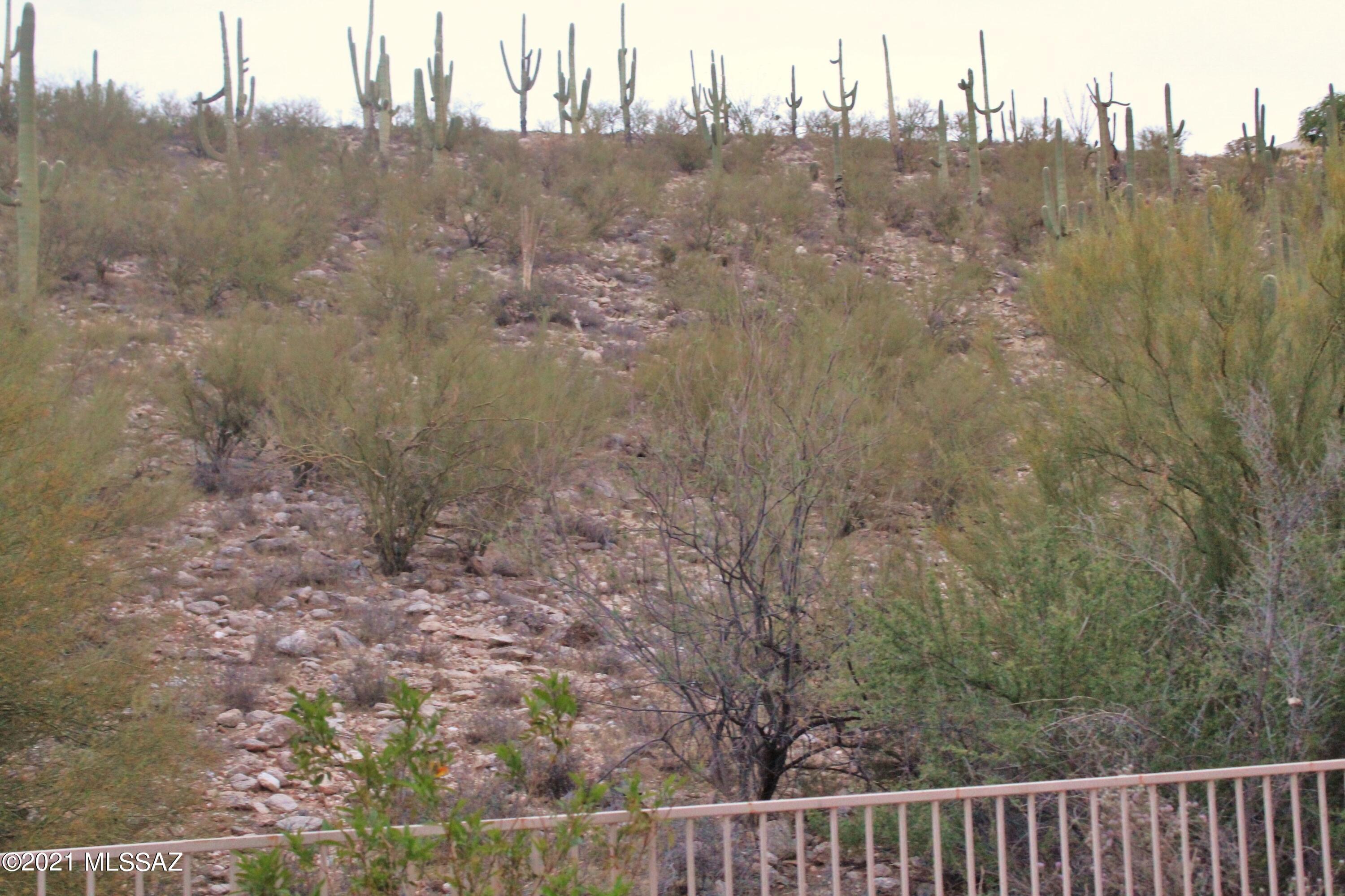 Sabino Mountain (1-290) - Residential