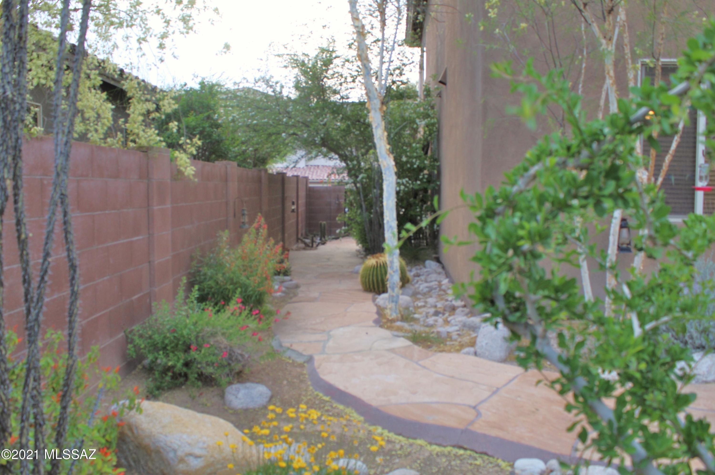 Sabino Mountain (1-290) - Residential